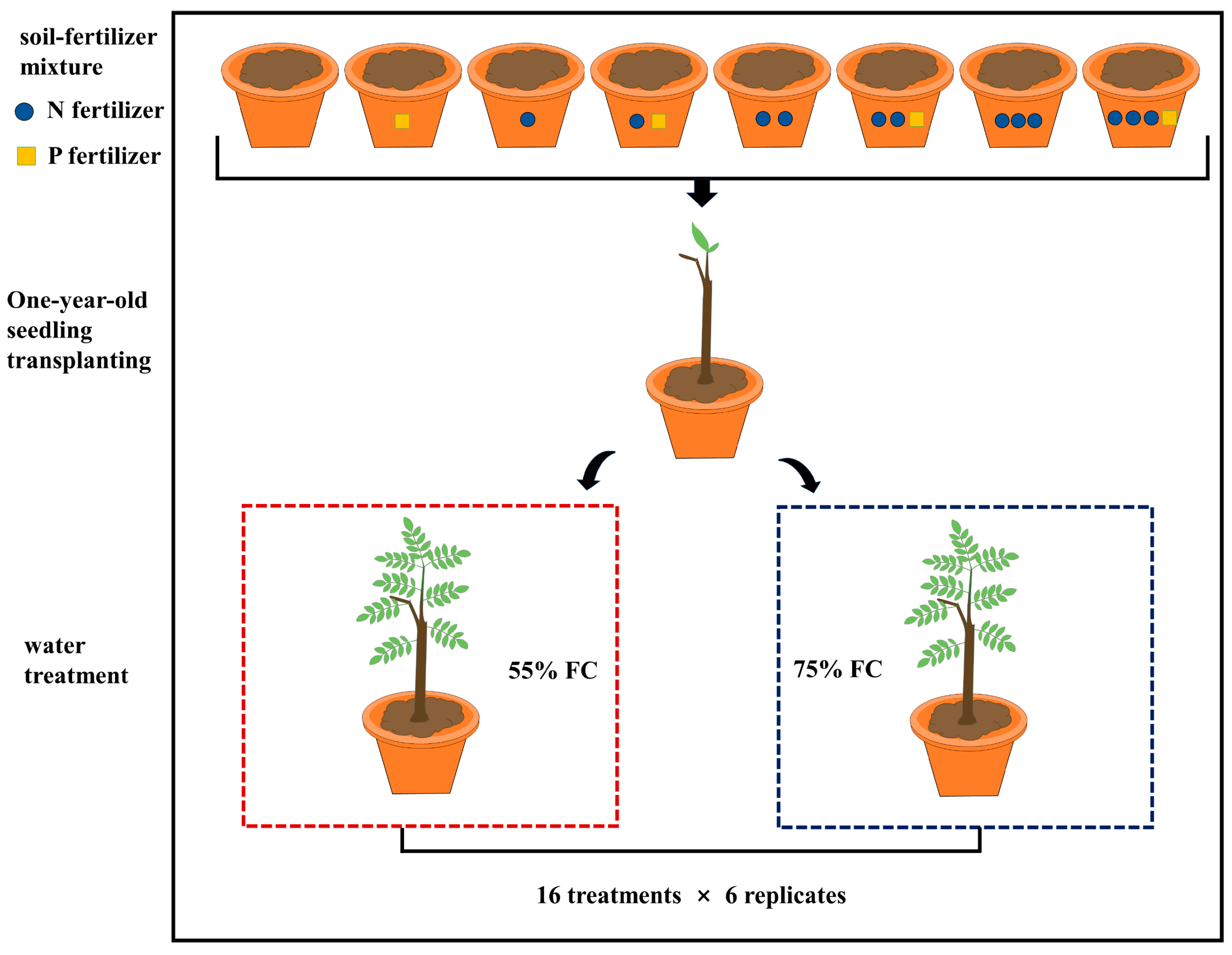 Agronomy 16 01479 g001 Agronomy 16 01479 g001