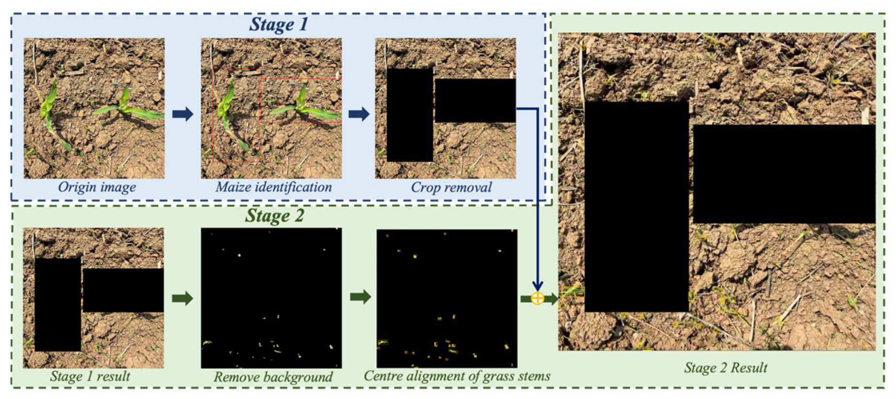 Agronomy 16 01716 g007 Agronomy 16 01716 g007