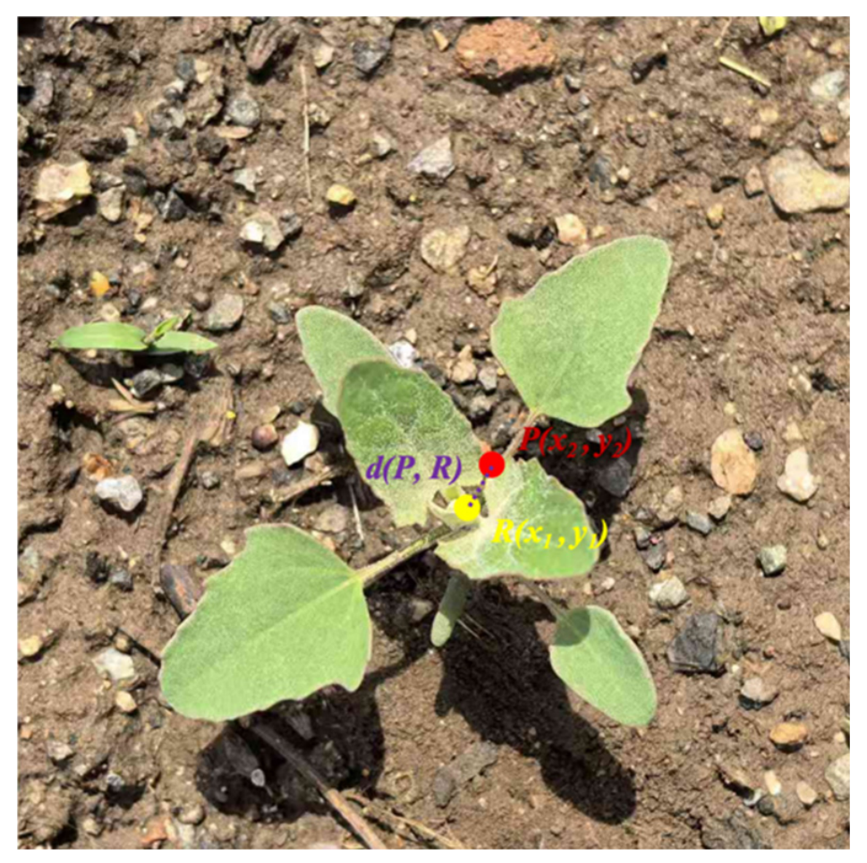 Agronomy 16 01716 g008 Agronomy 16 01716 g008