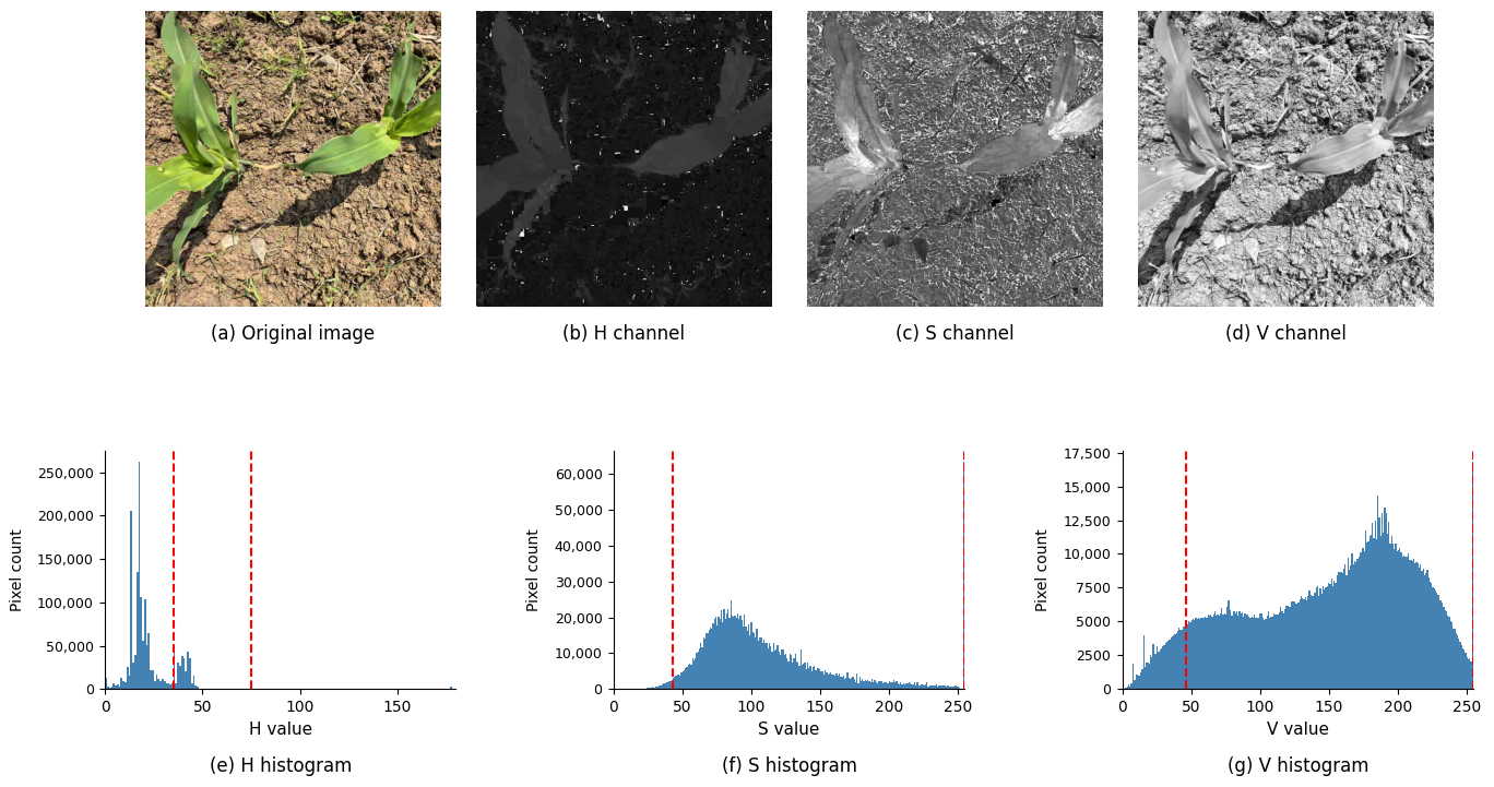Agronomy 16 01716 g010 Agronomy 16 01716 g010