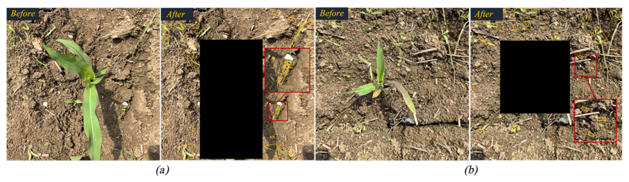 Agronomy 16 01716 g013 Agronomy 16 01716 g013