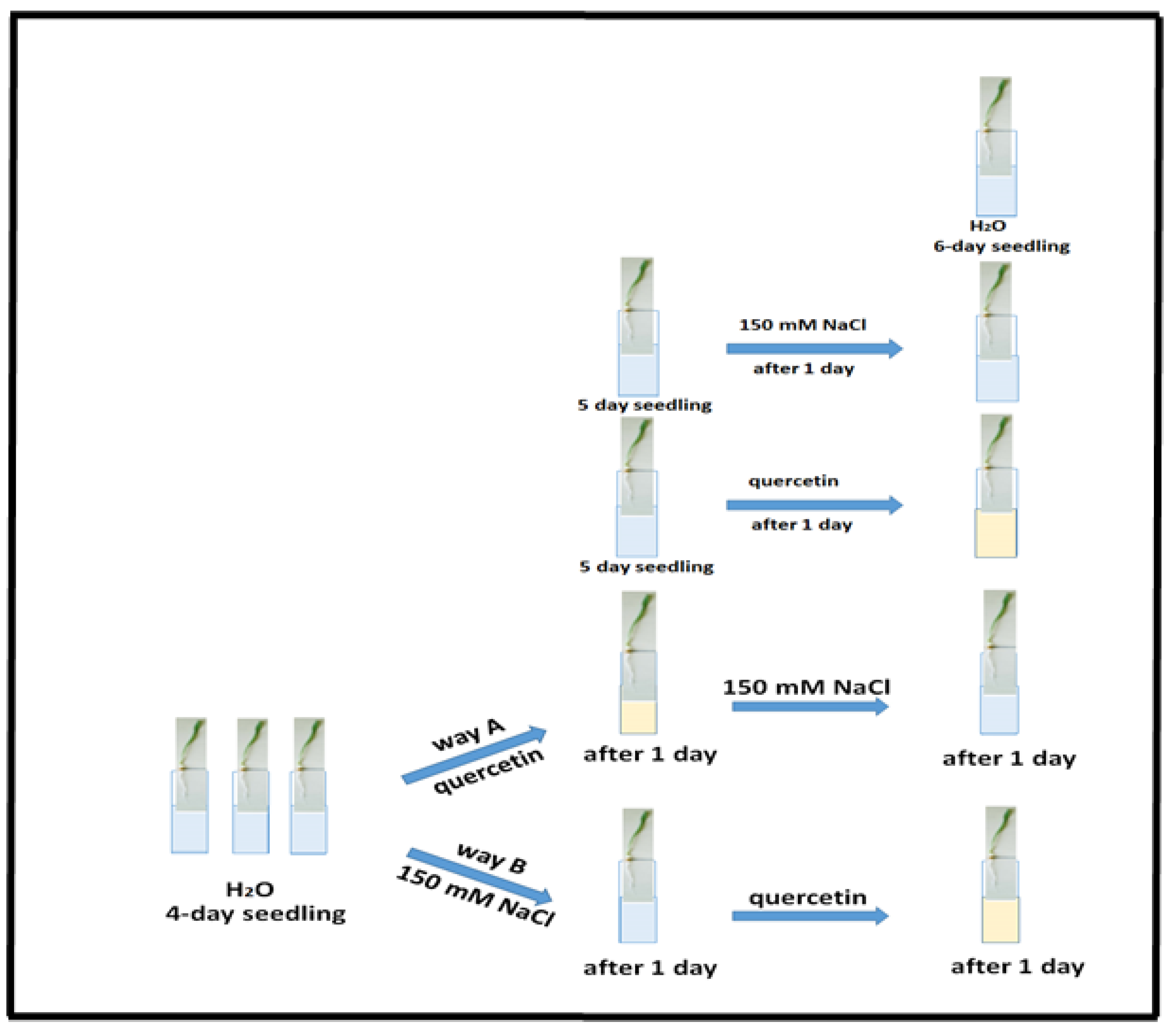 Agronomy 16 01727 g001 Agronomy 16 01727 g001