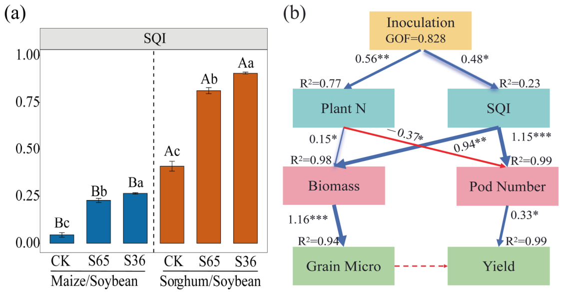 Agronomy 16 01731 g006 Agronomy 16 01731 g006
