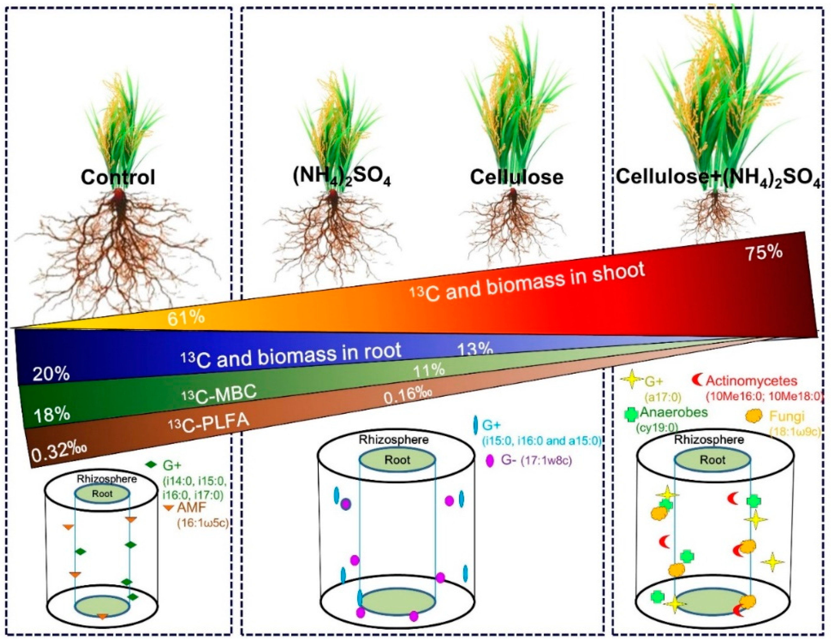 Agronomy 16 01755 g007 Agronomy 16 01755 g007