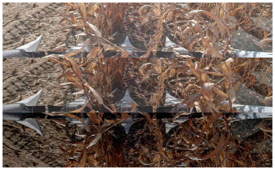 Agronomy 16 01780 g001