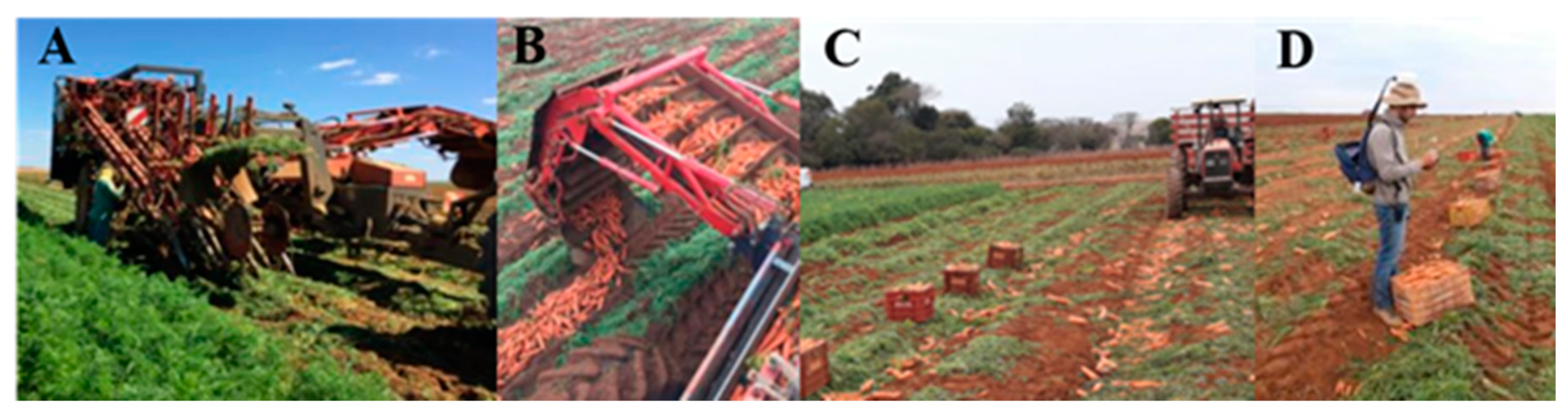 Ai 01 00015 g002 Ai 01 00015 g002