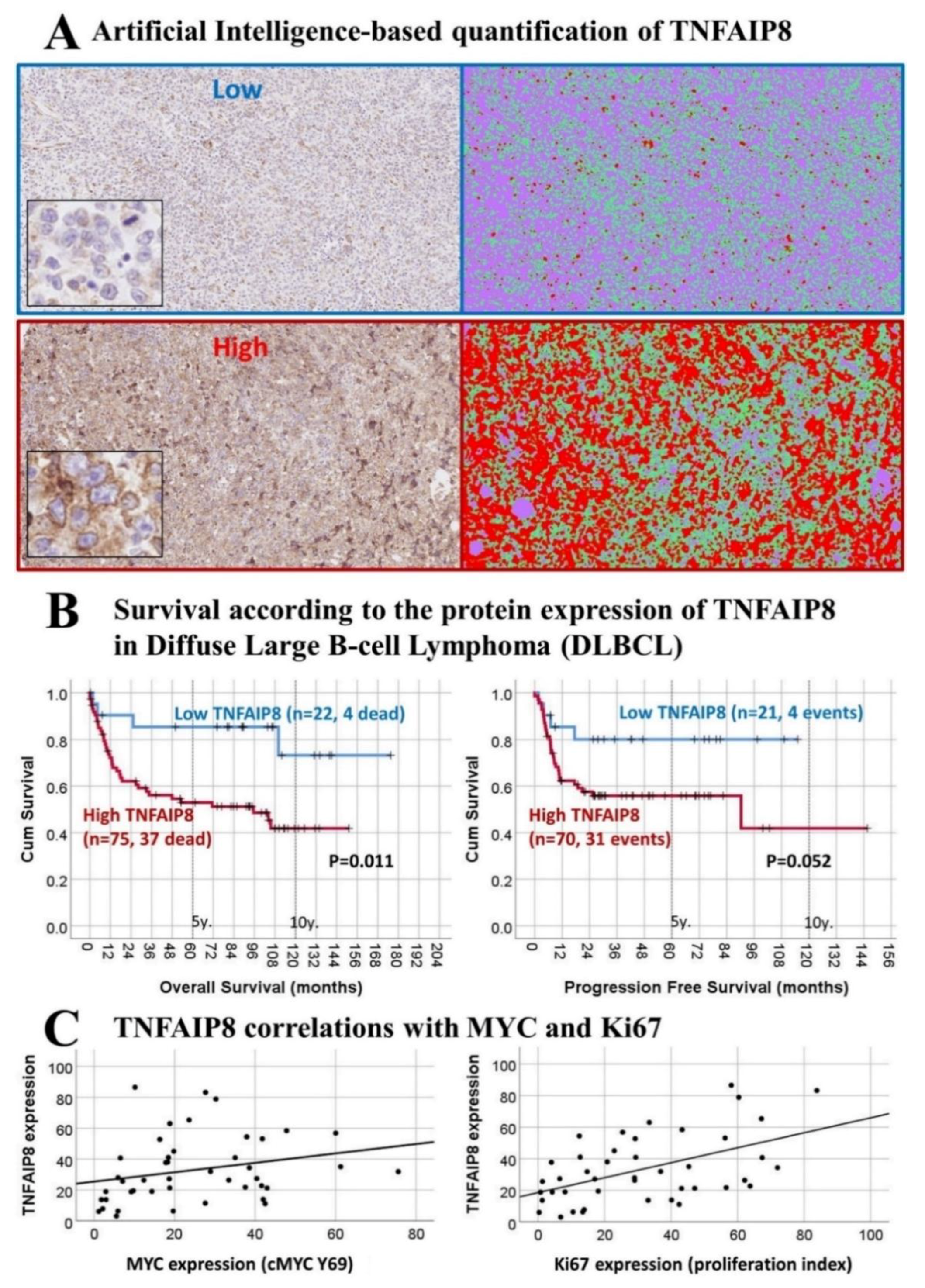 Ai 01 00023 g003 Ai 01 00023 g003