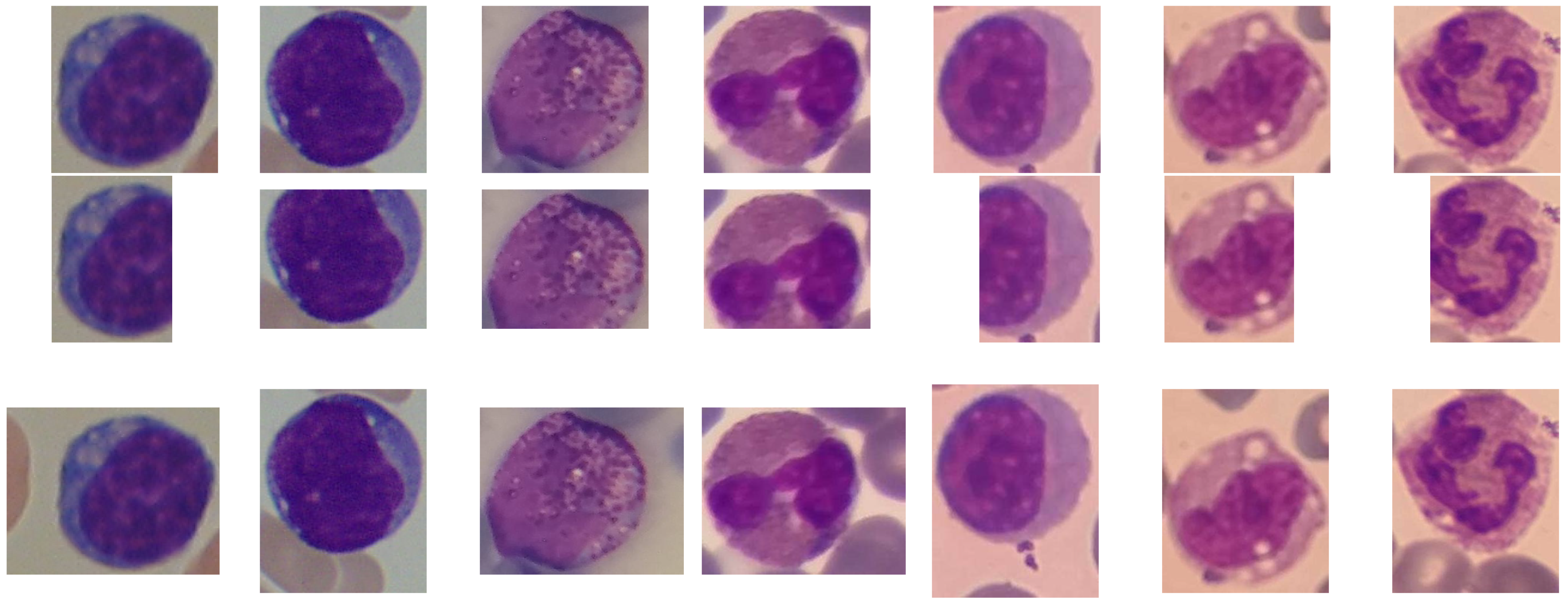 Ai 02 00025 g004 550