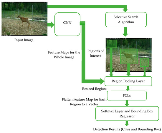 A Performance Comparison and Enhancement of Animal Species Detection in ...