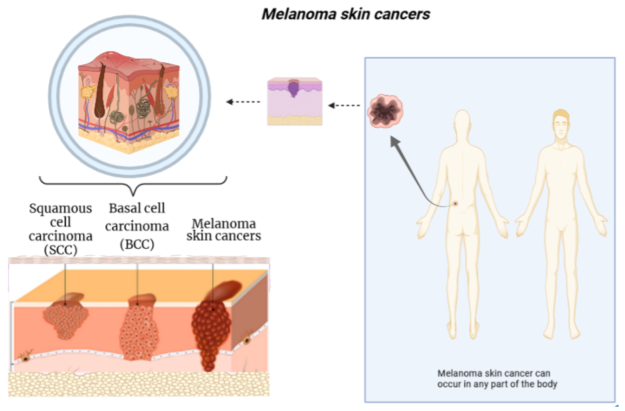 Ai 03 00029 g001 550