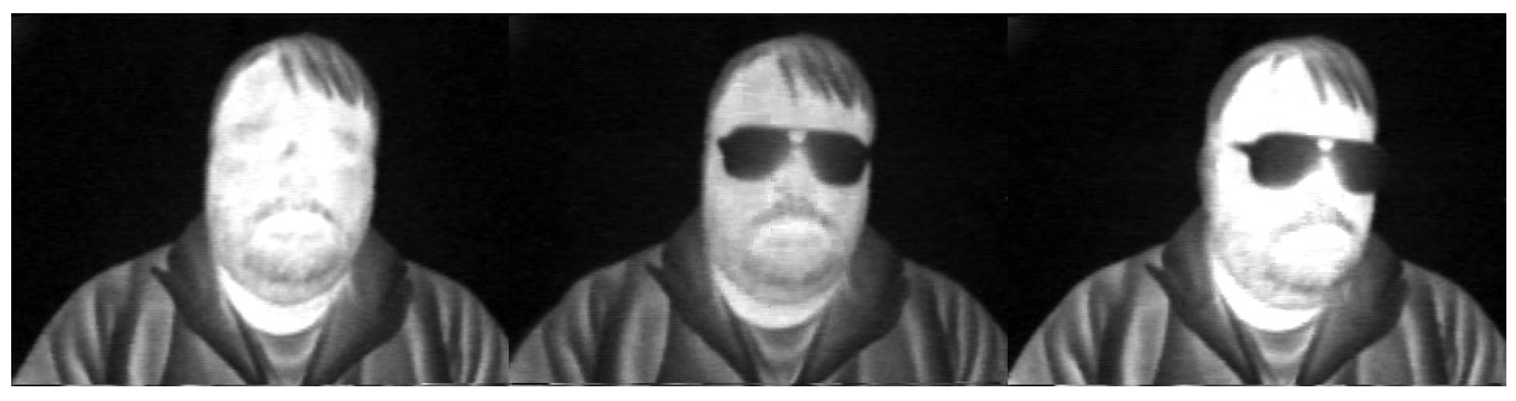 Ai 04 00009 g005 Ai 04 00009 g005