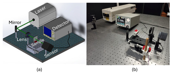 Predicting the Multiphotonic Absorption in Graphene by Machine Learning