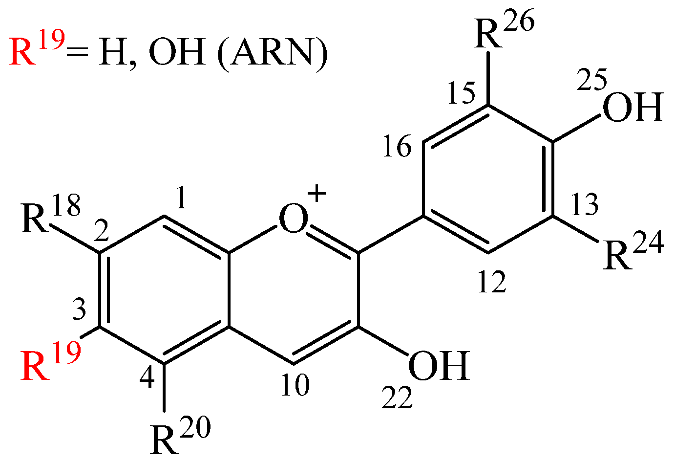 Aichem 01 00008 g006