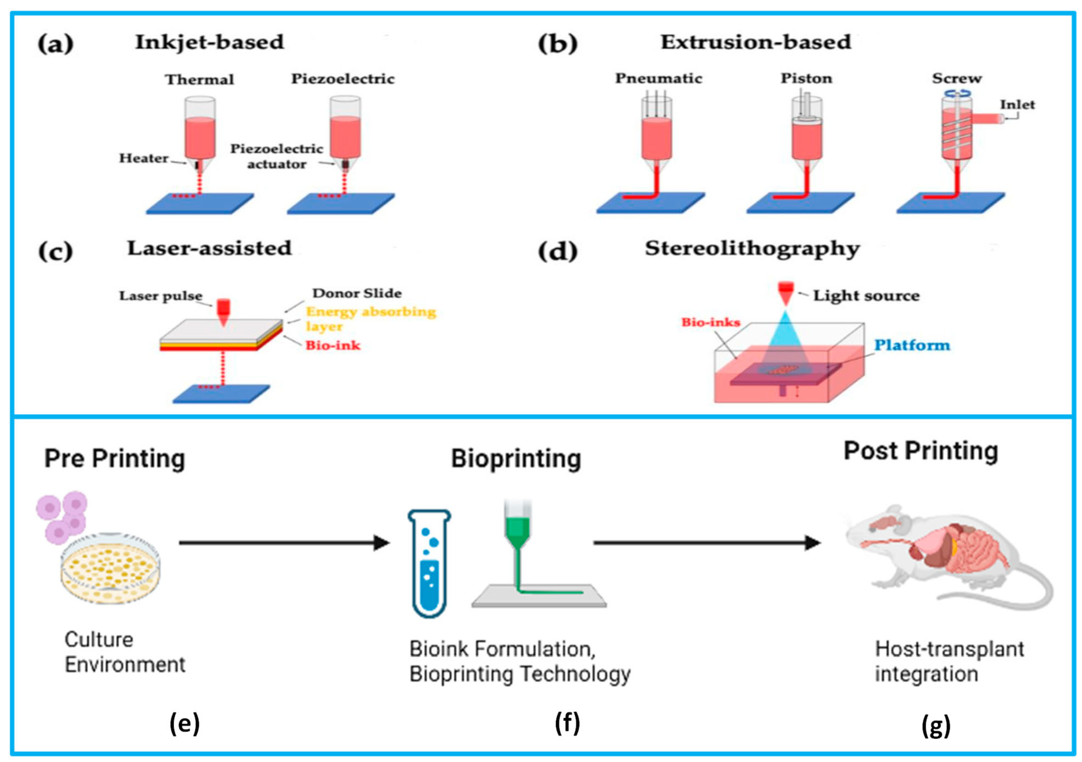 Aimater 01 00002 g006