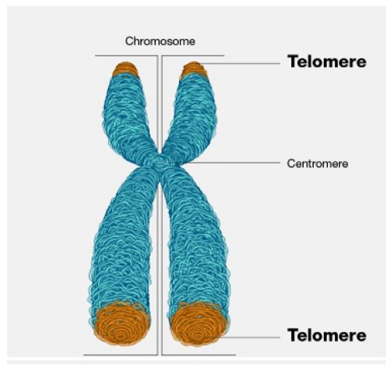 Air 02 00002 g001 Air 02 00002 g001