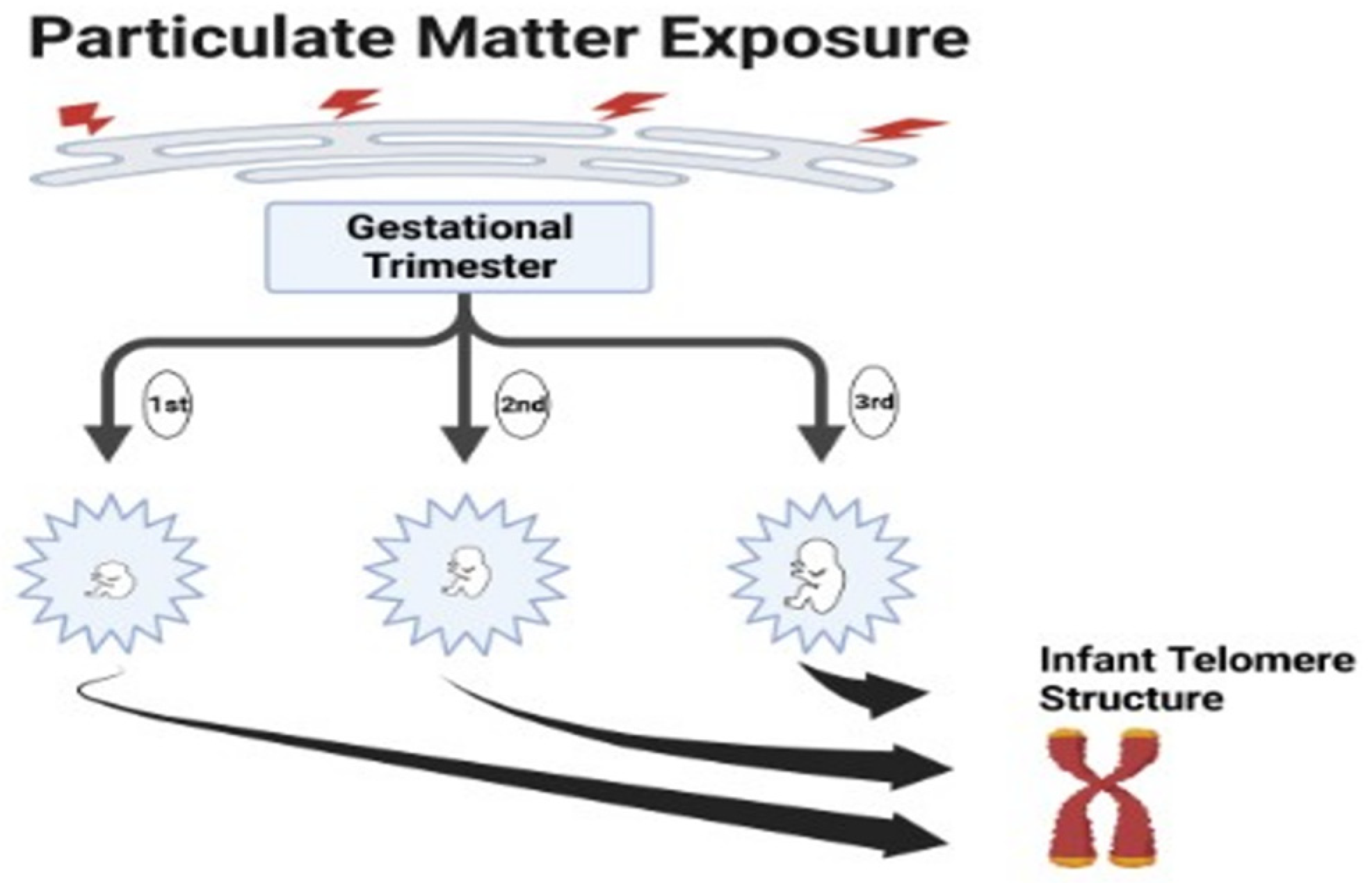 Air 02 00002 g002 Air 02 00002 g002