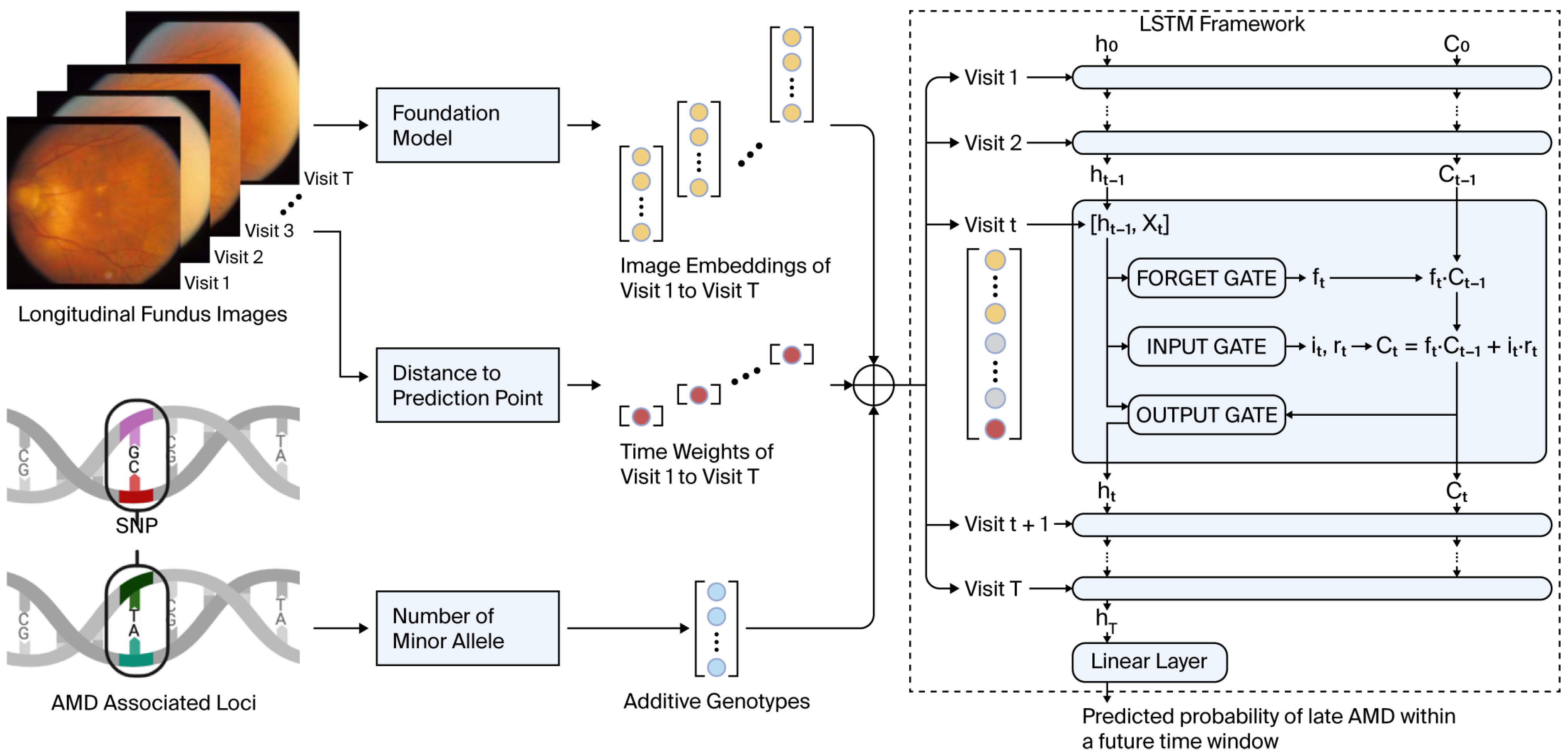 Aisens 01 00006 g001