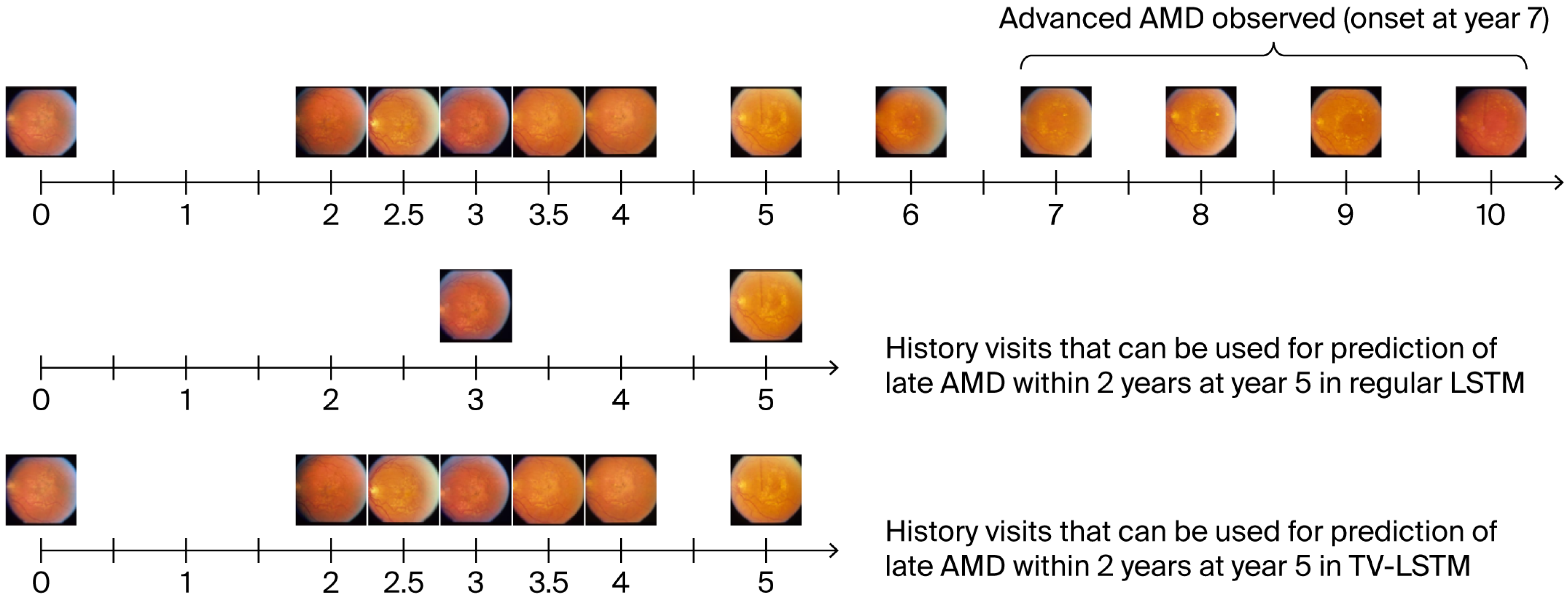 Aisens 01 00006 g002