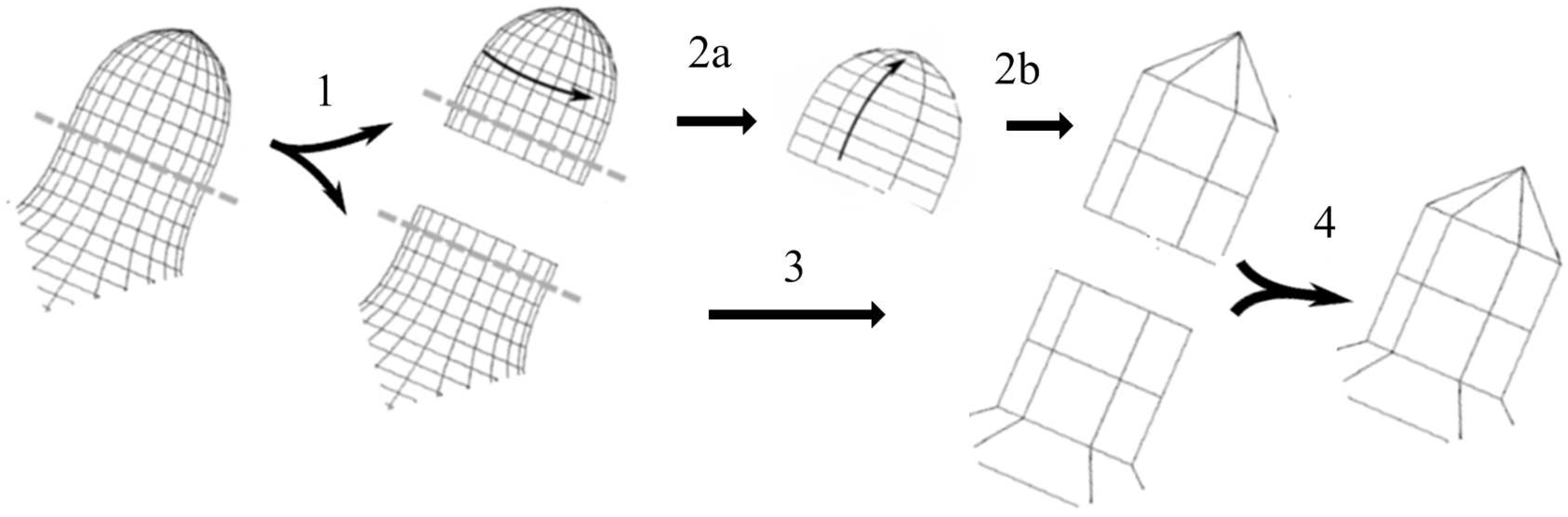 Algorithms 02 01263 g007 1024