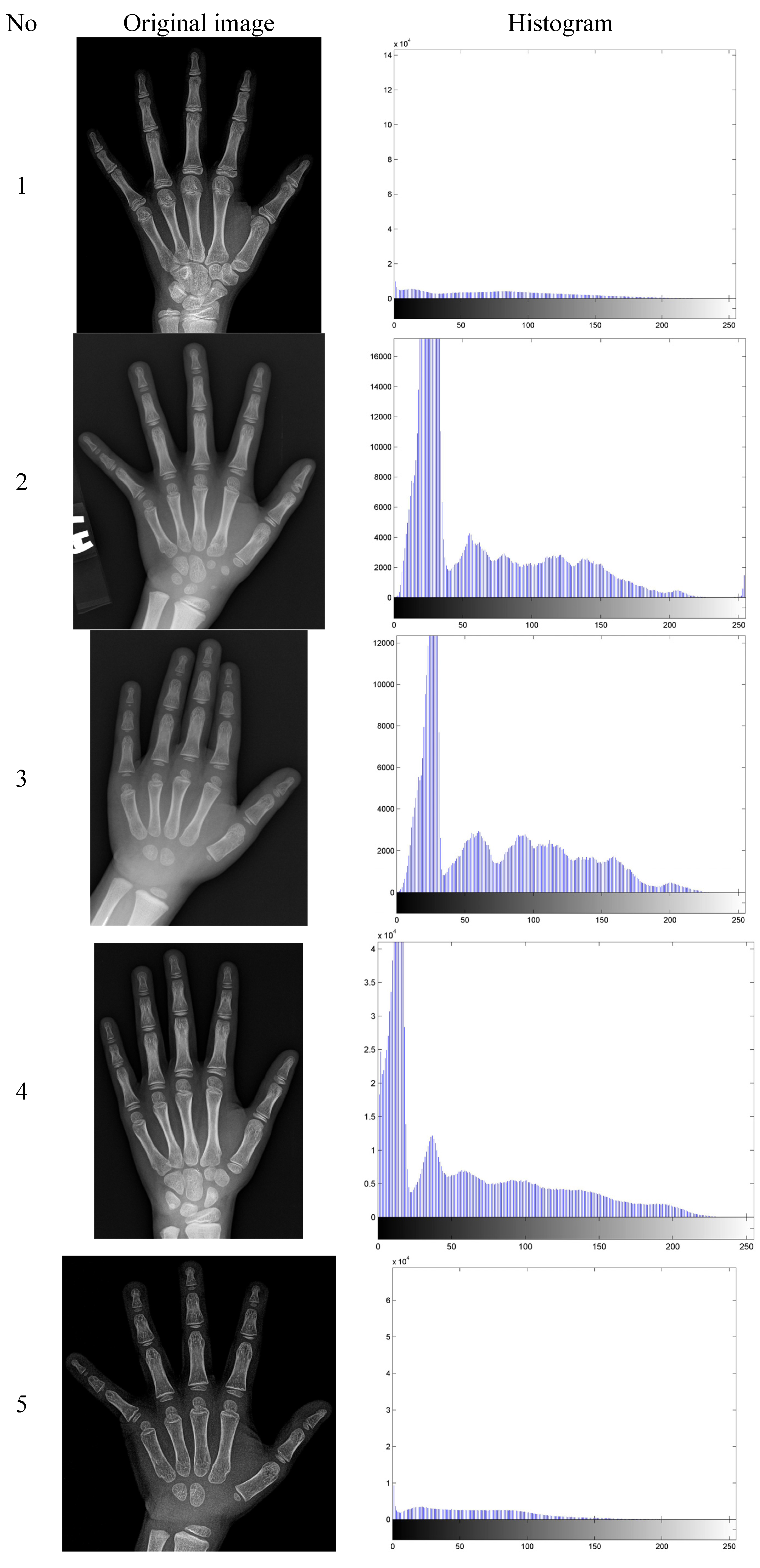 Algorithms 07 00444 g001