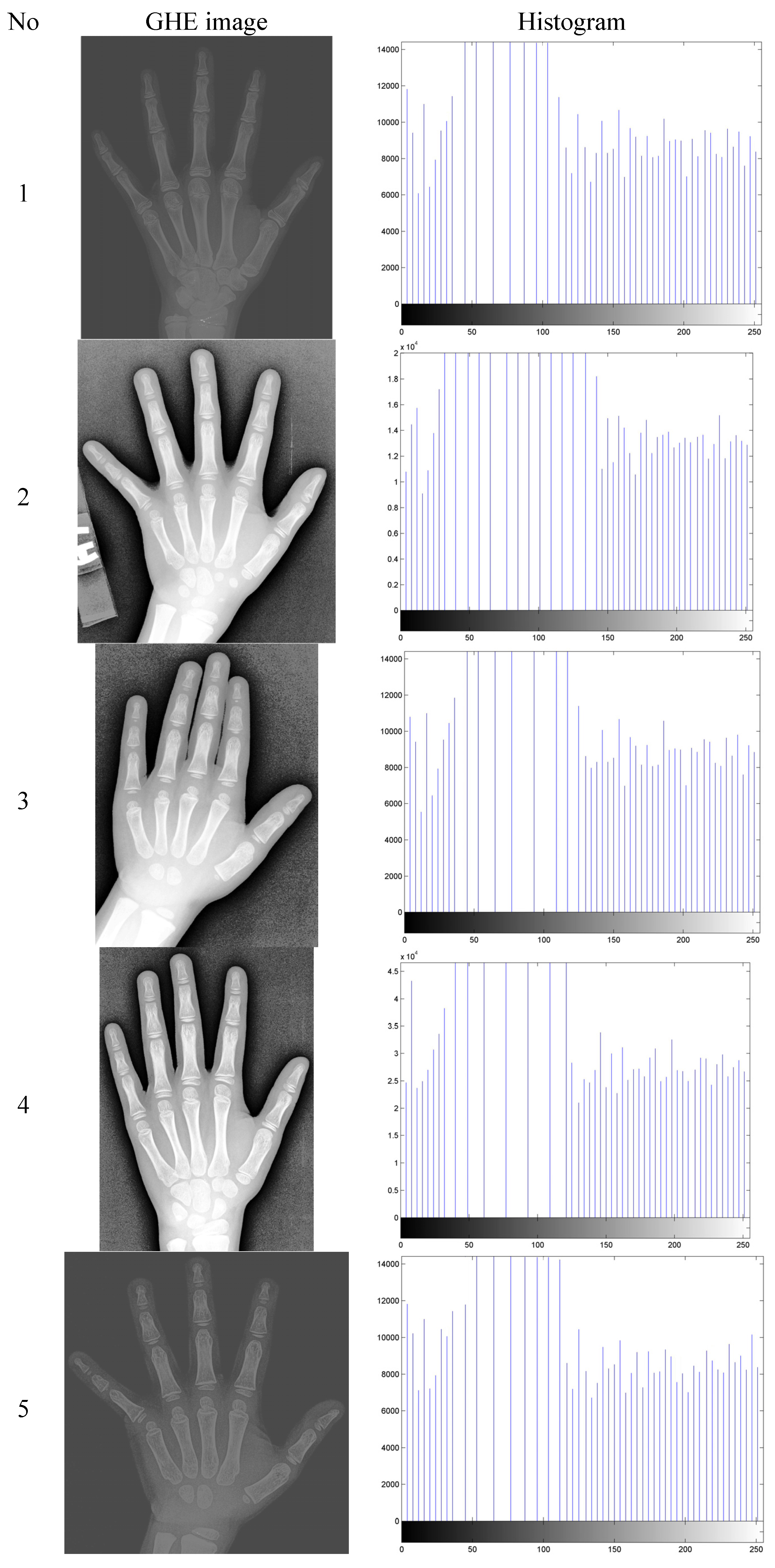 Algorithms 07 00444 g002