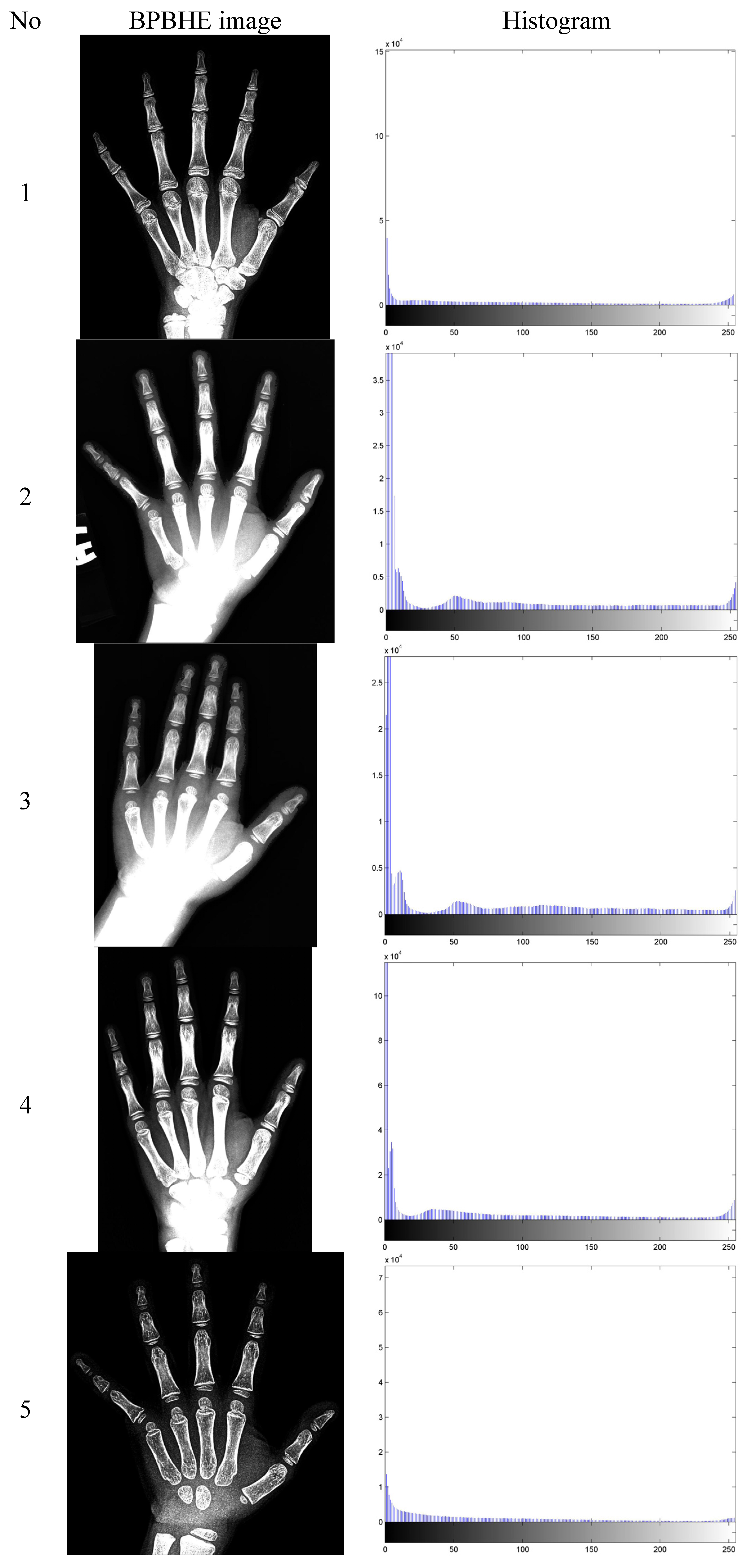 Algorithms 07 00444 g003