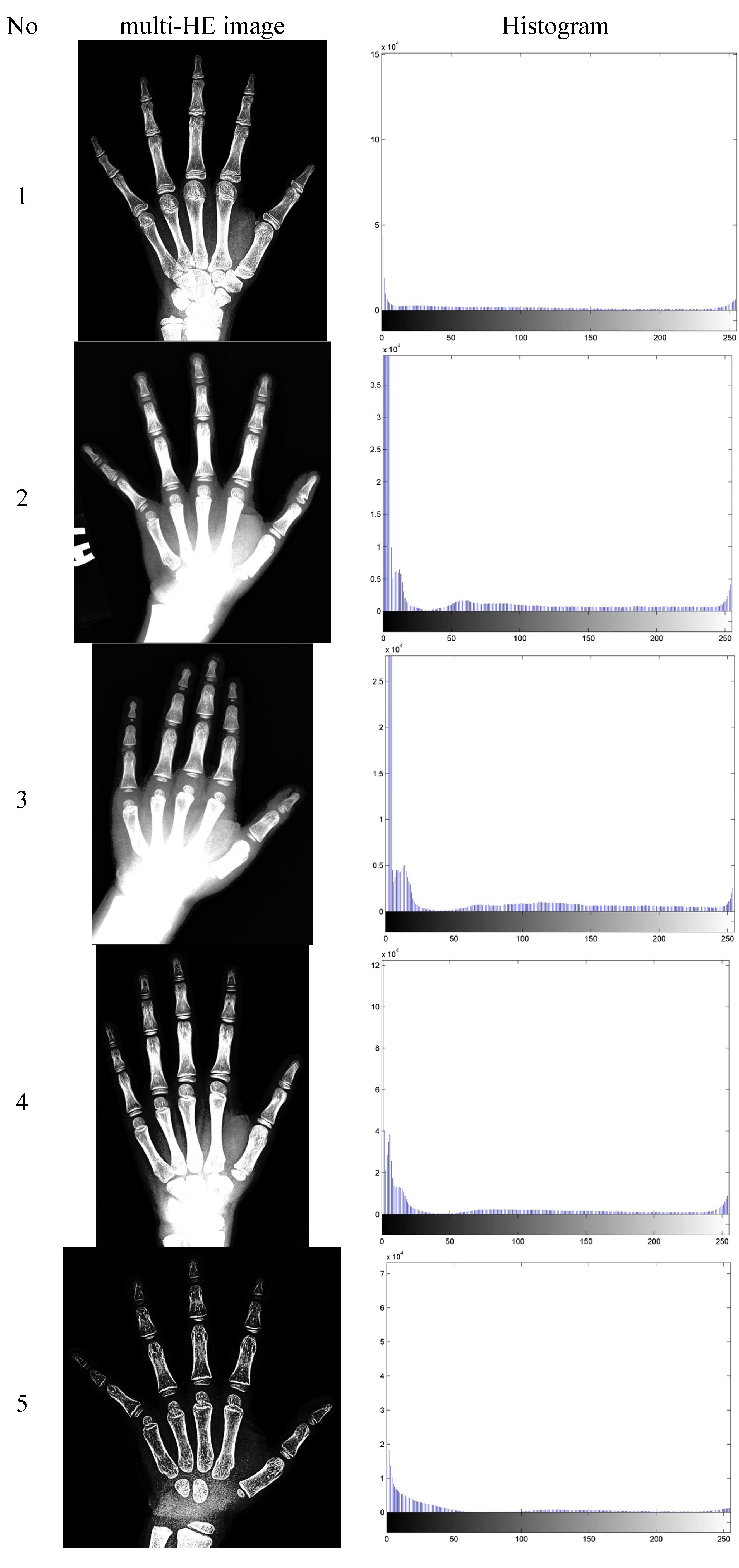 Algorithms 07 00444 g004