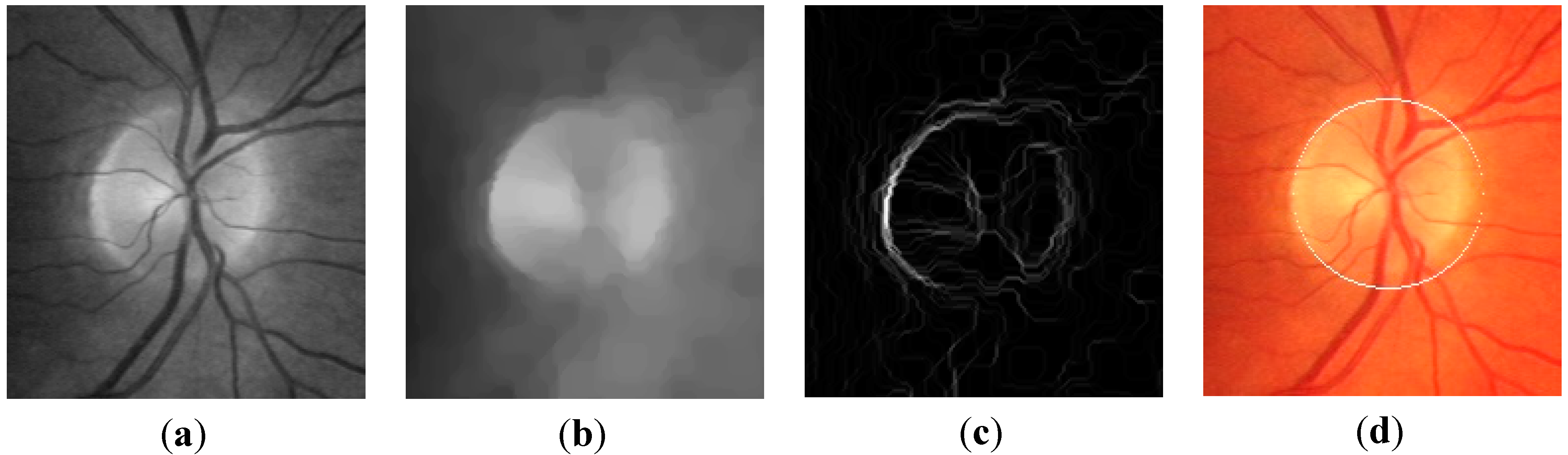 Algorithms 07 00456 g002 550