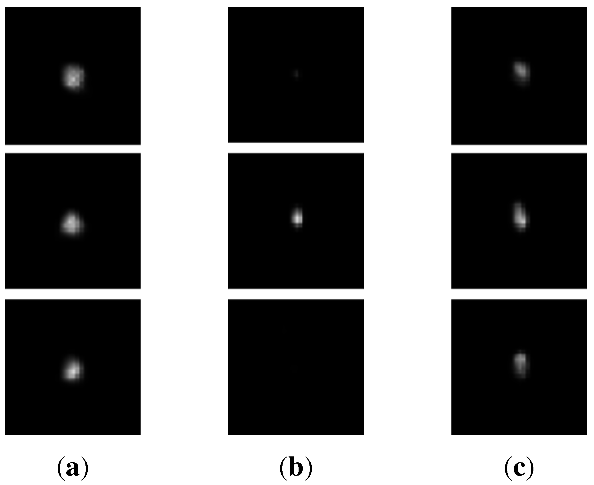 Algorithms 08 00209 g009