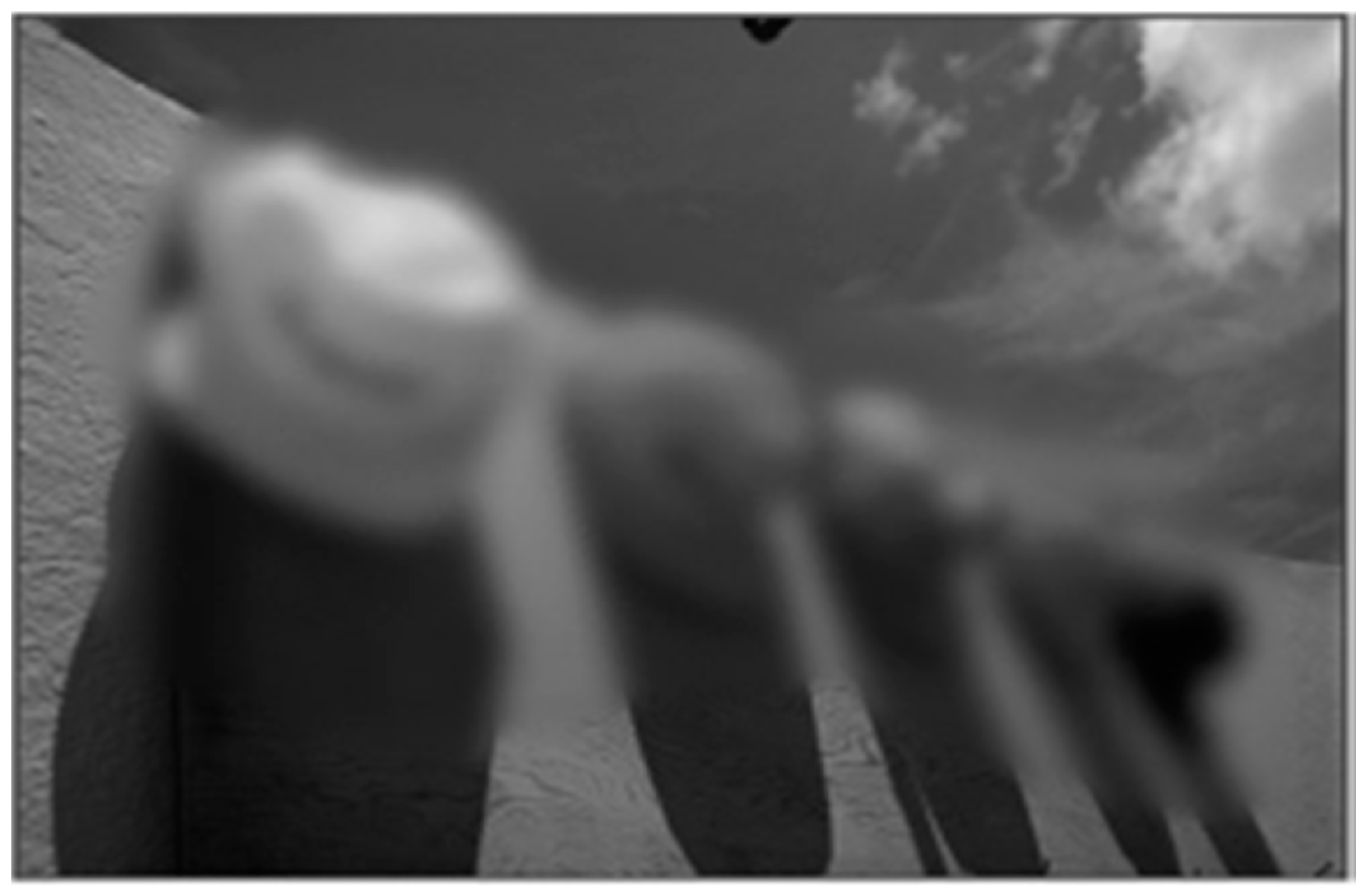Algorithms 09 00087 g006