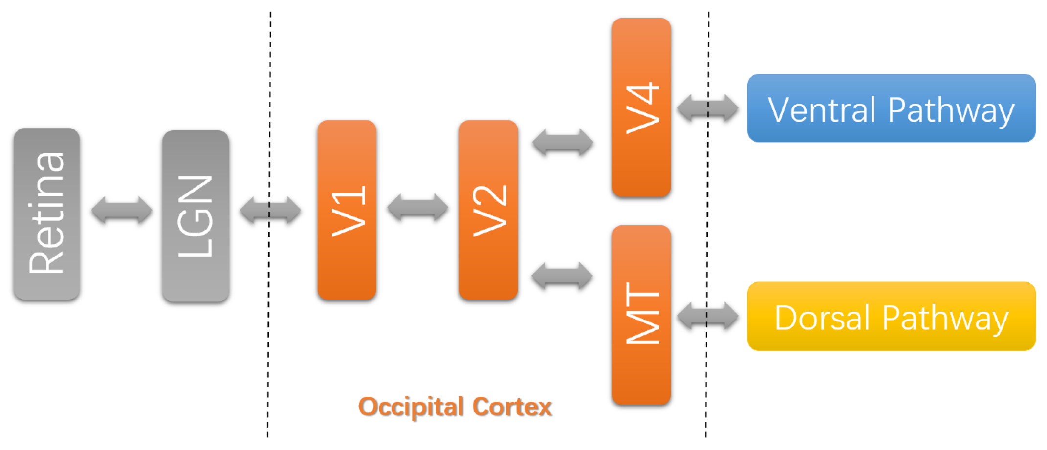 Algorithms 10 00072 g001 550