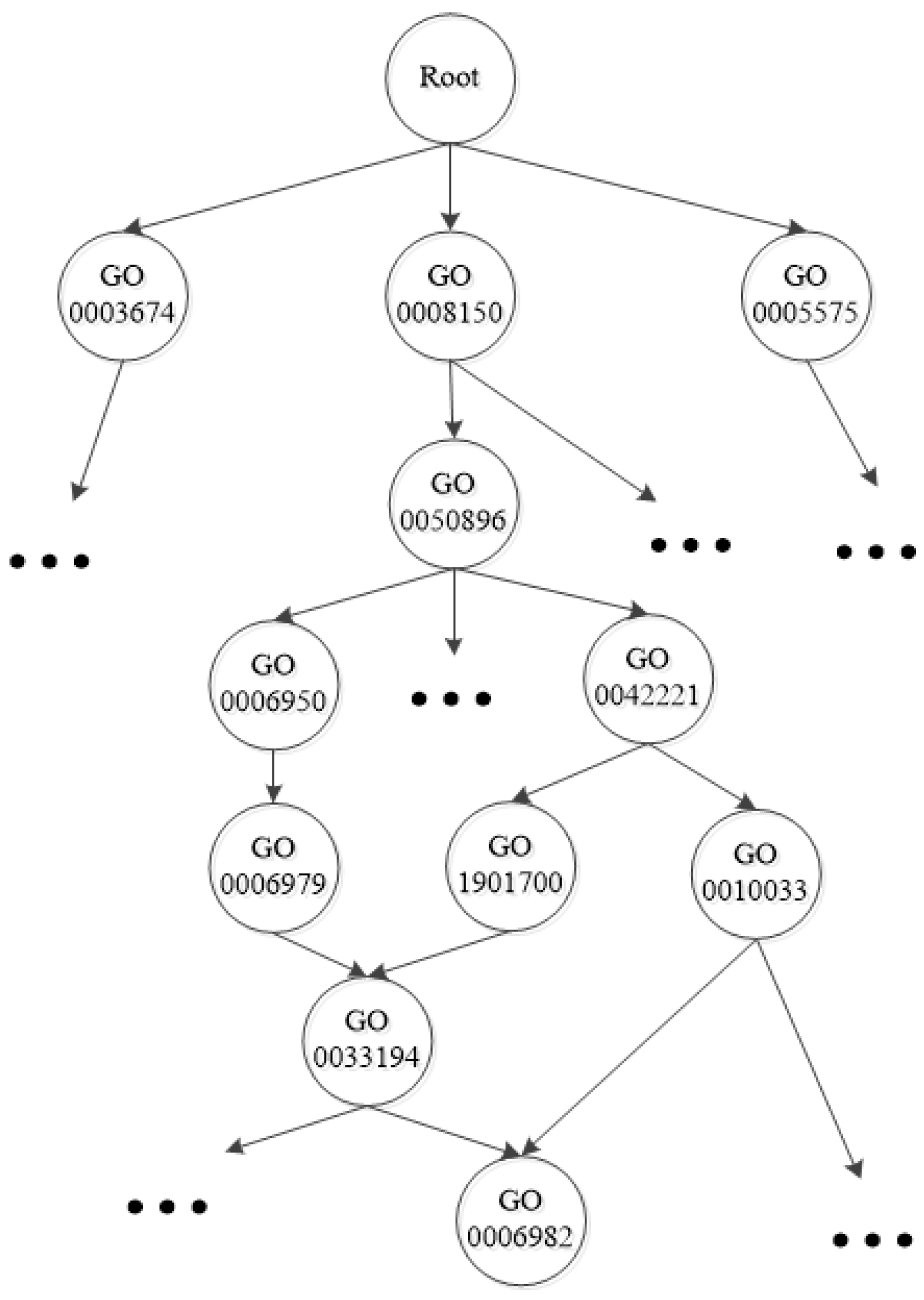 Algorithms 10 00138 g001