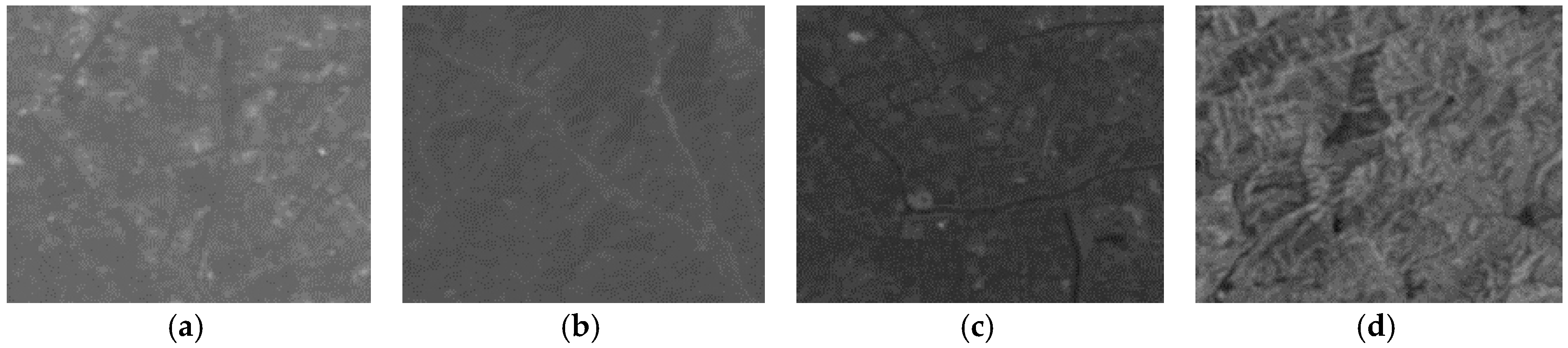 Algorithms 11 00006 g002