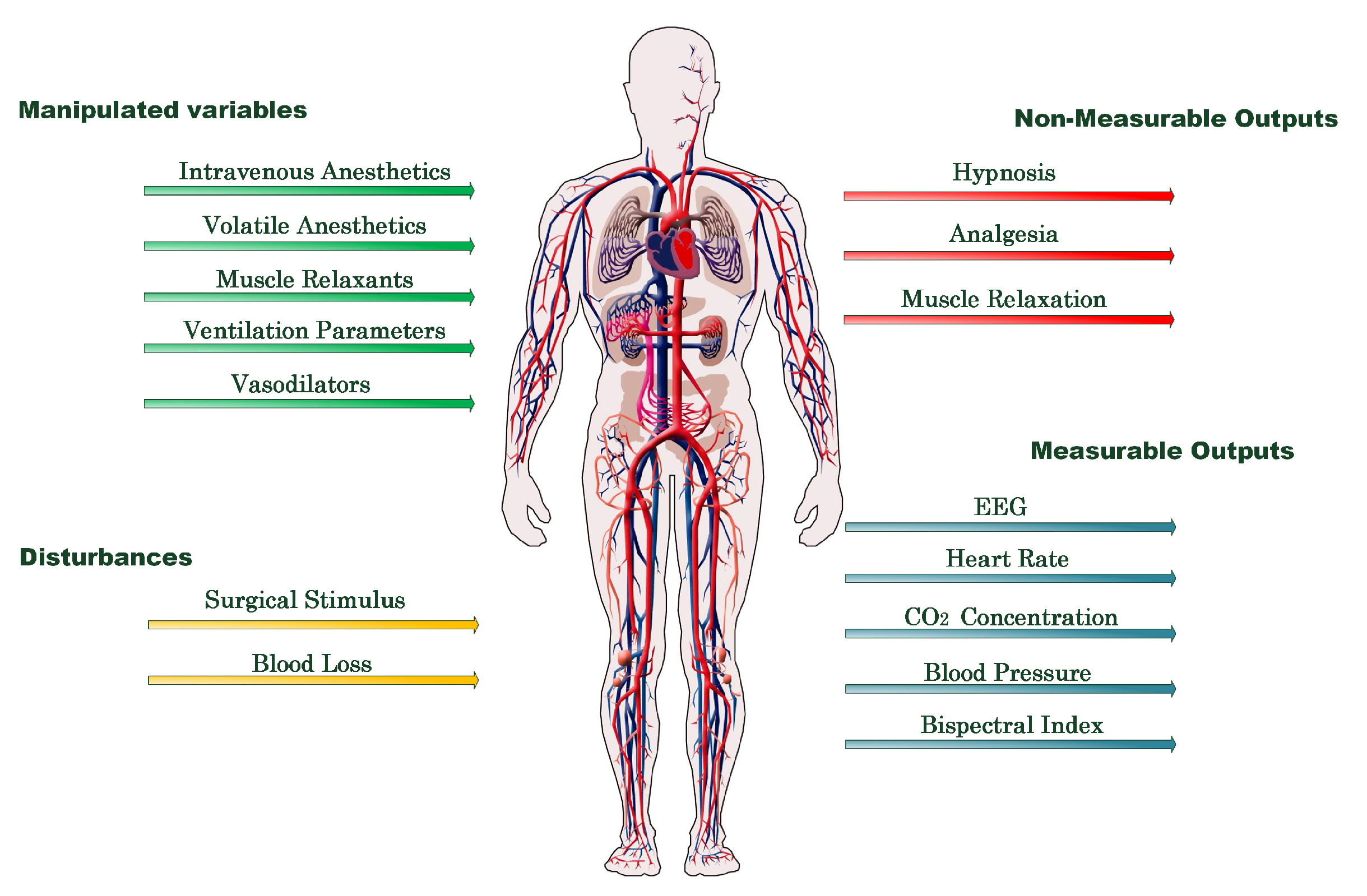 Algorithms 11 00106 g001