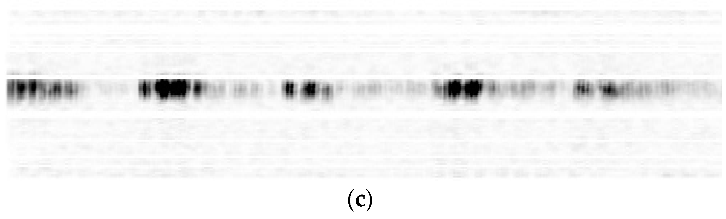 Algorithms 11 00117 g008b