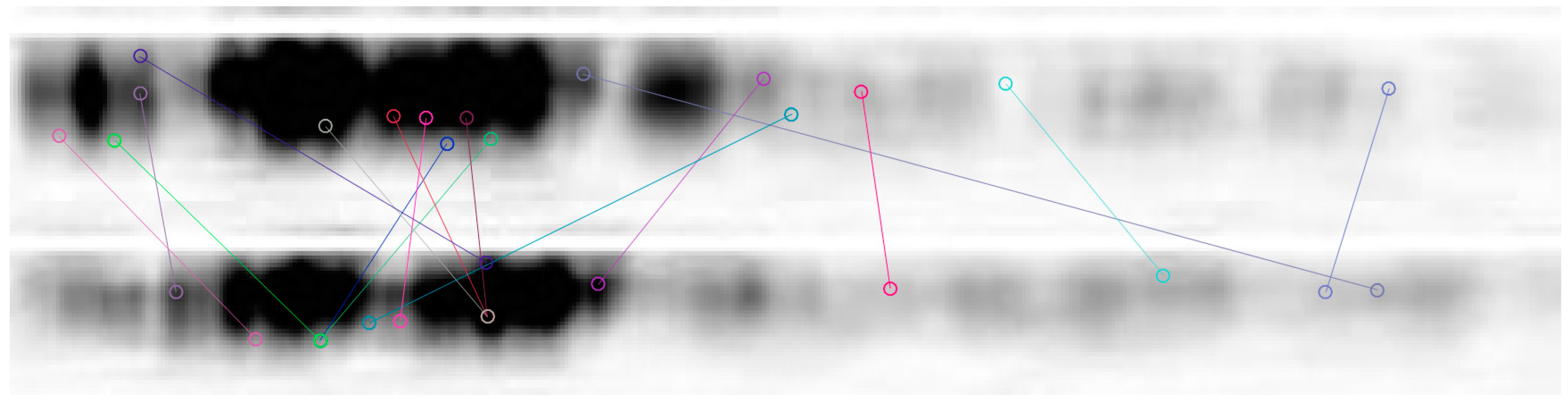 Algorithms 11 00117 g009