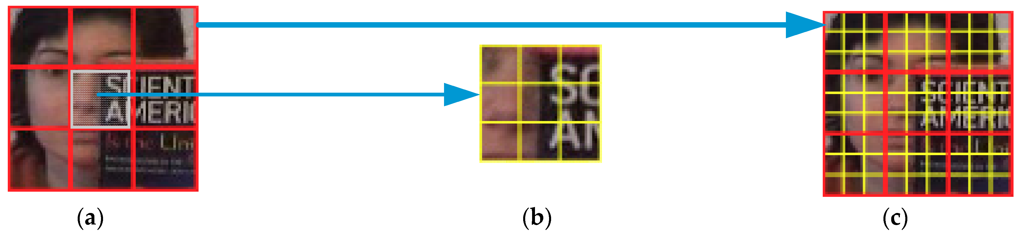 Algorithms 11 00126 g001