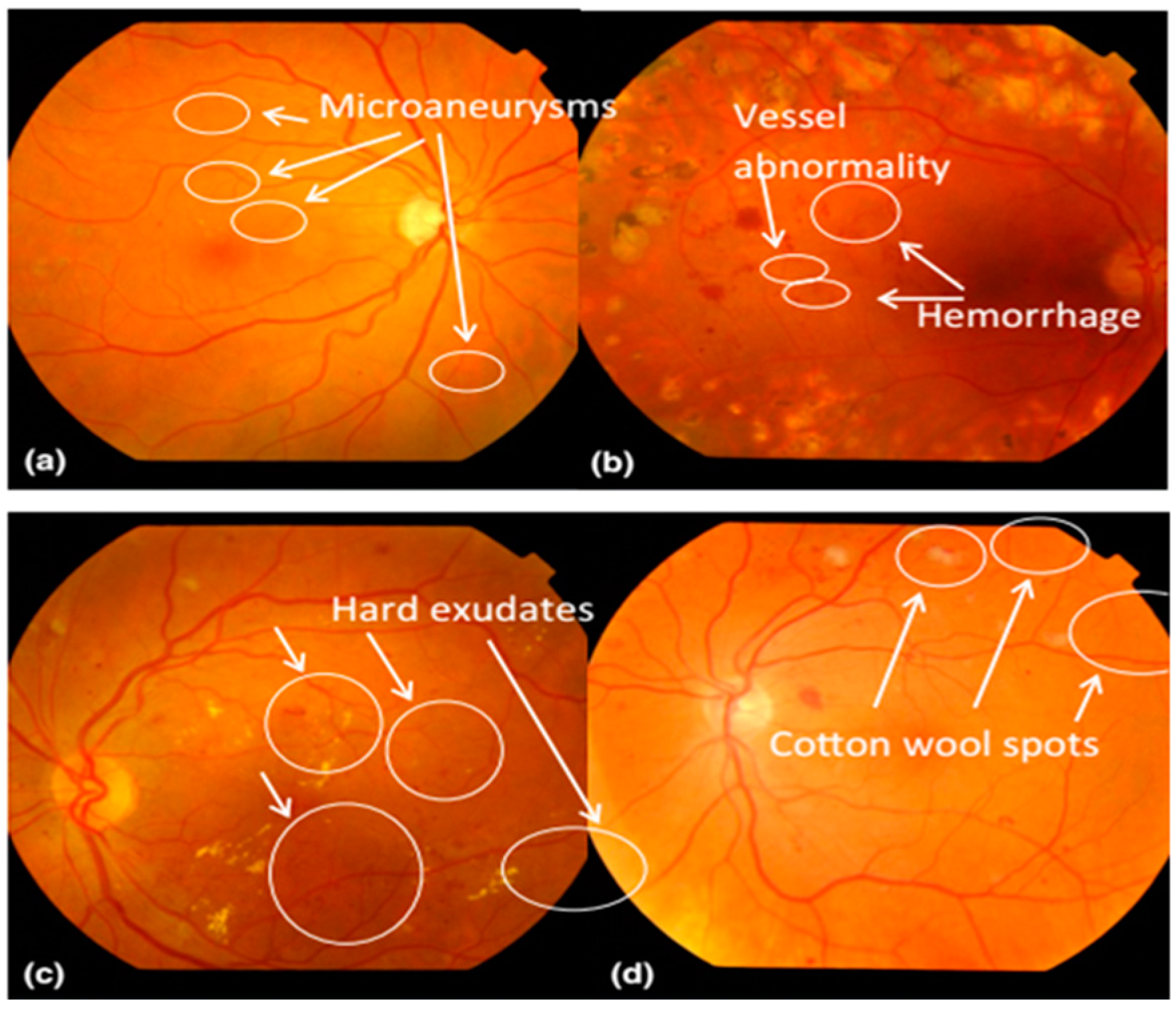 Algorithms 12 00014 g001