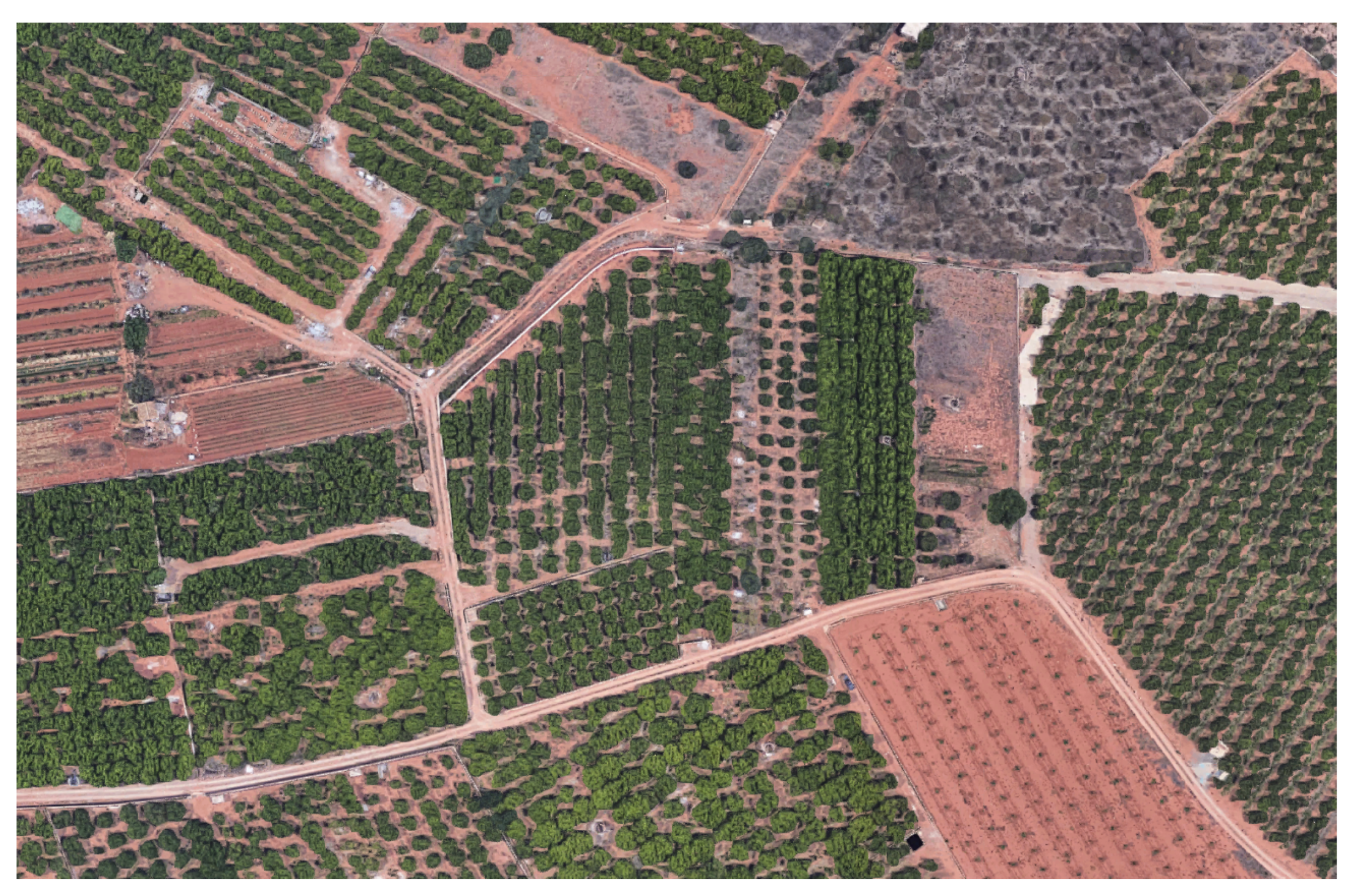 Algorithms 12 00193 g001