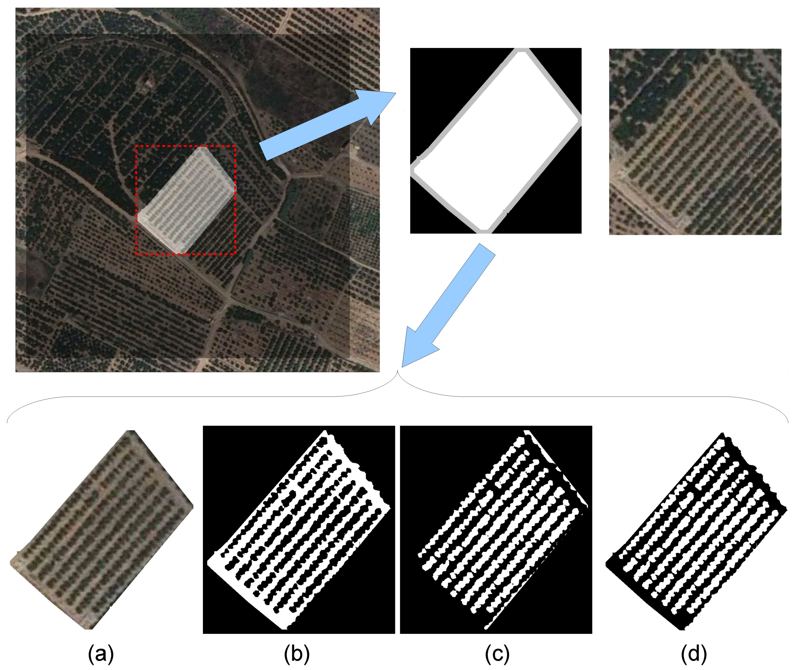 Algorithms 12 00193 g005