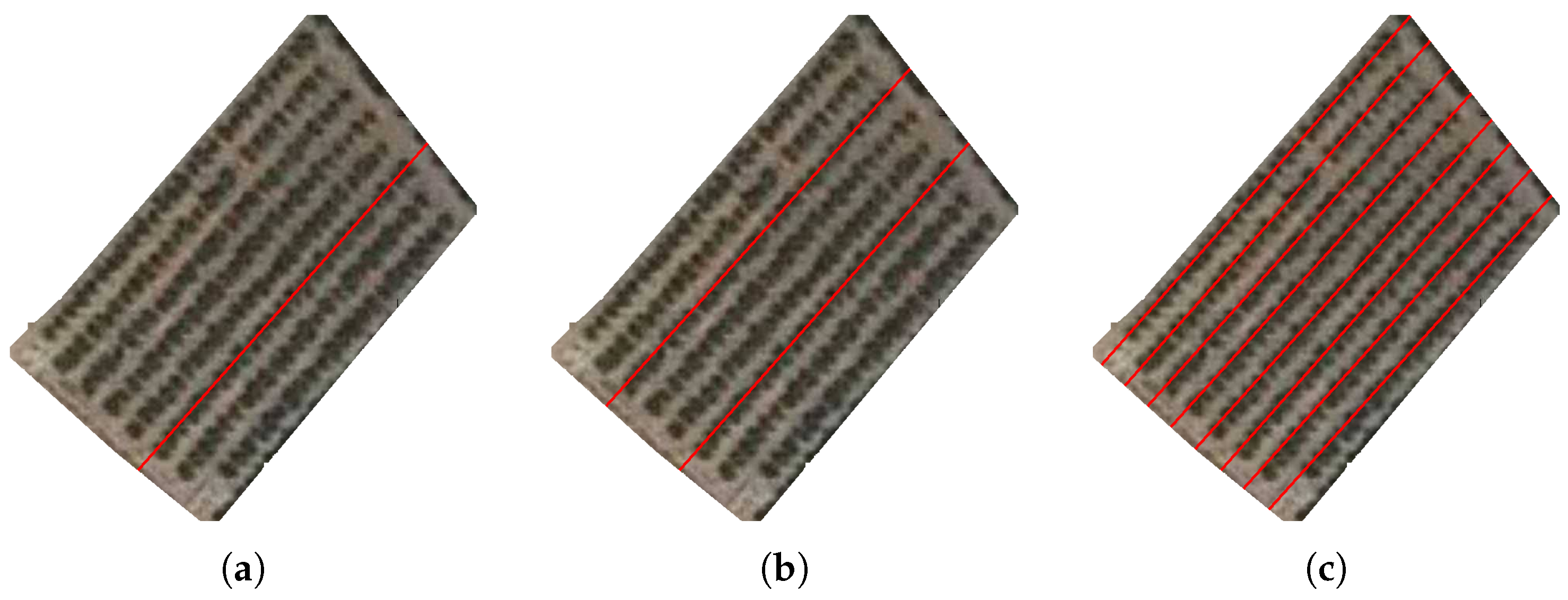 Algorithms 12 00193 g006