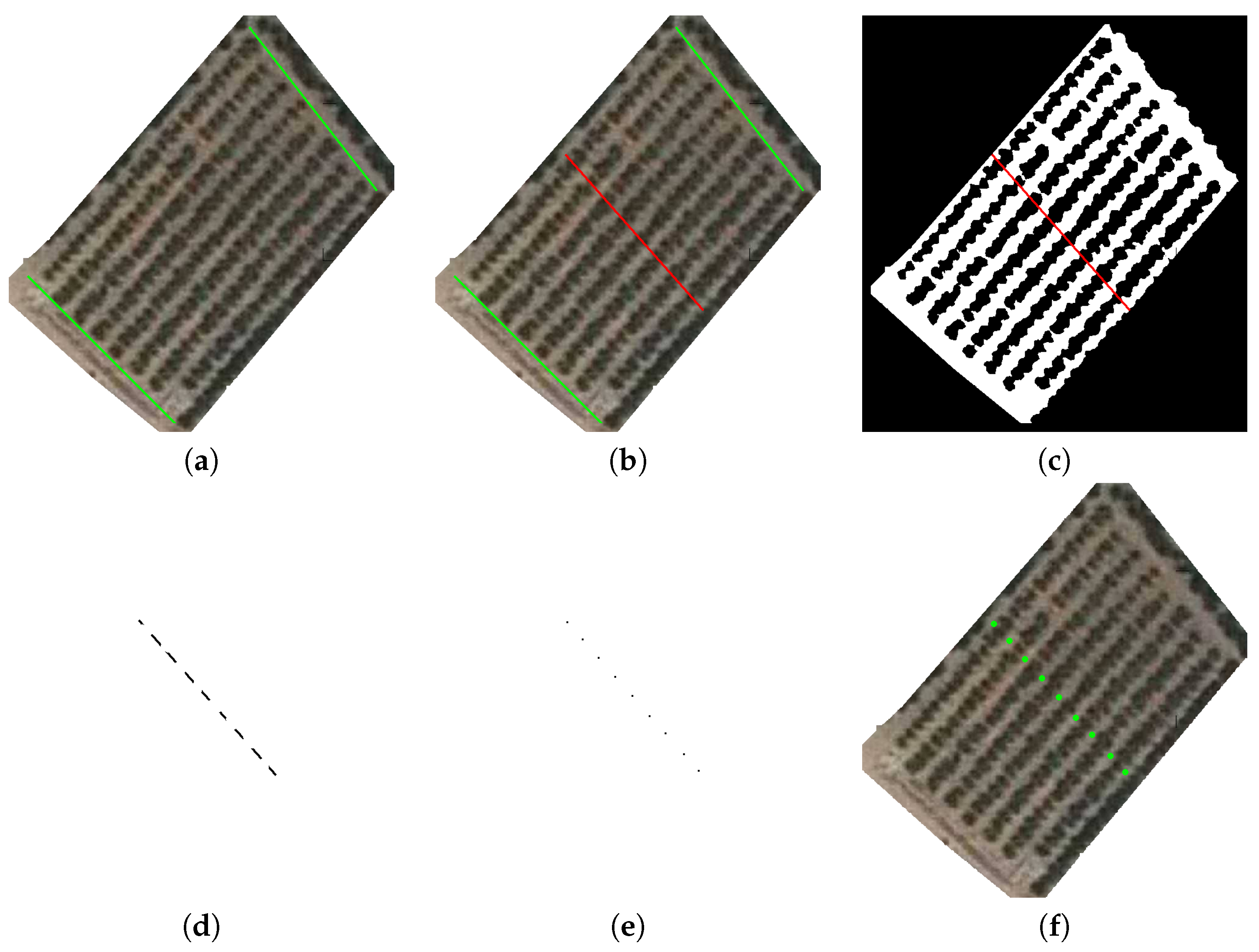 Algorithms 12 00193 g008