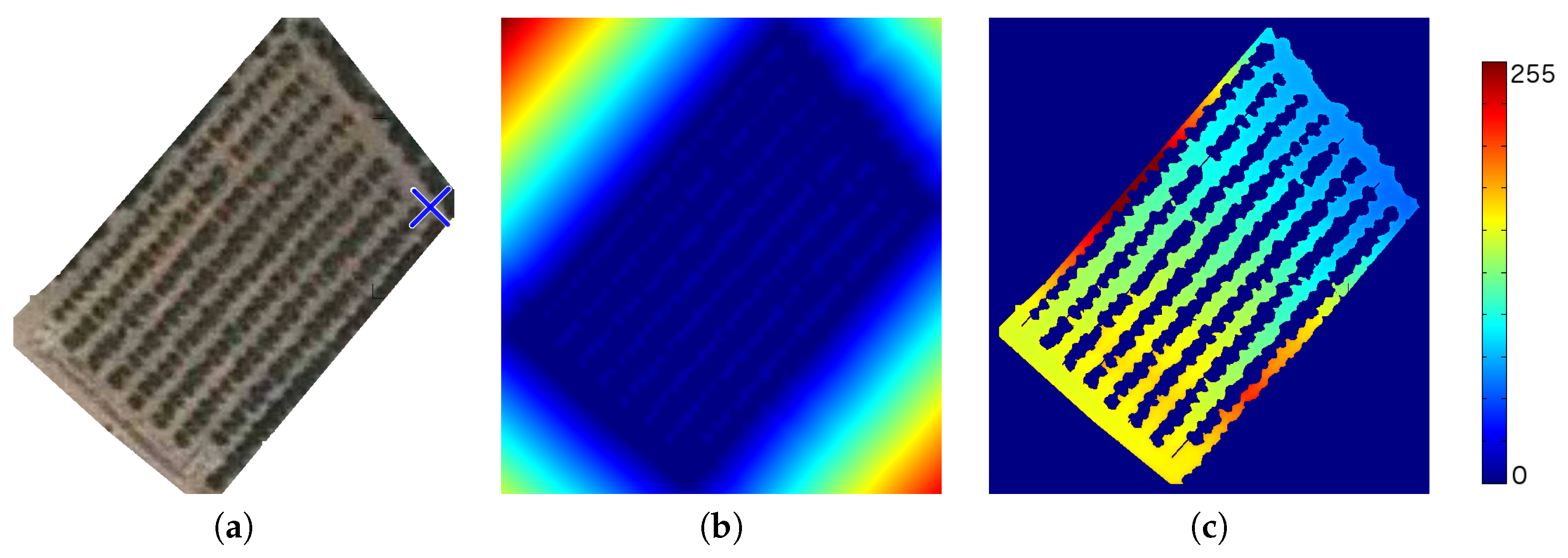 Algorithms 12 00193 g012