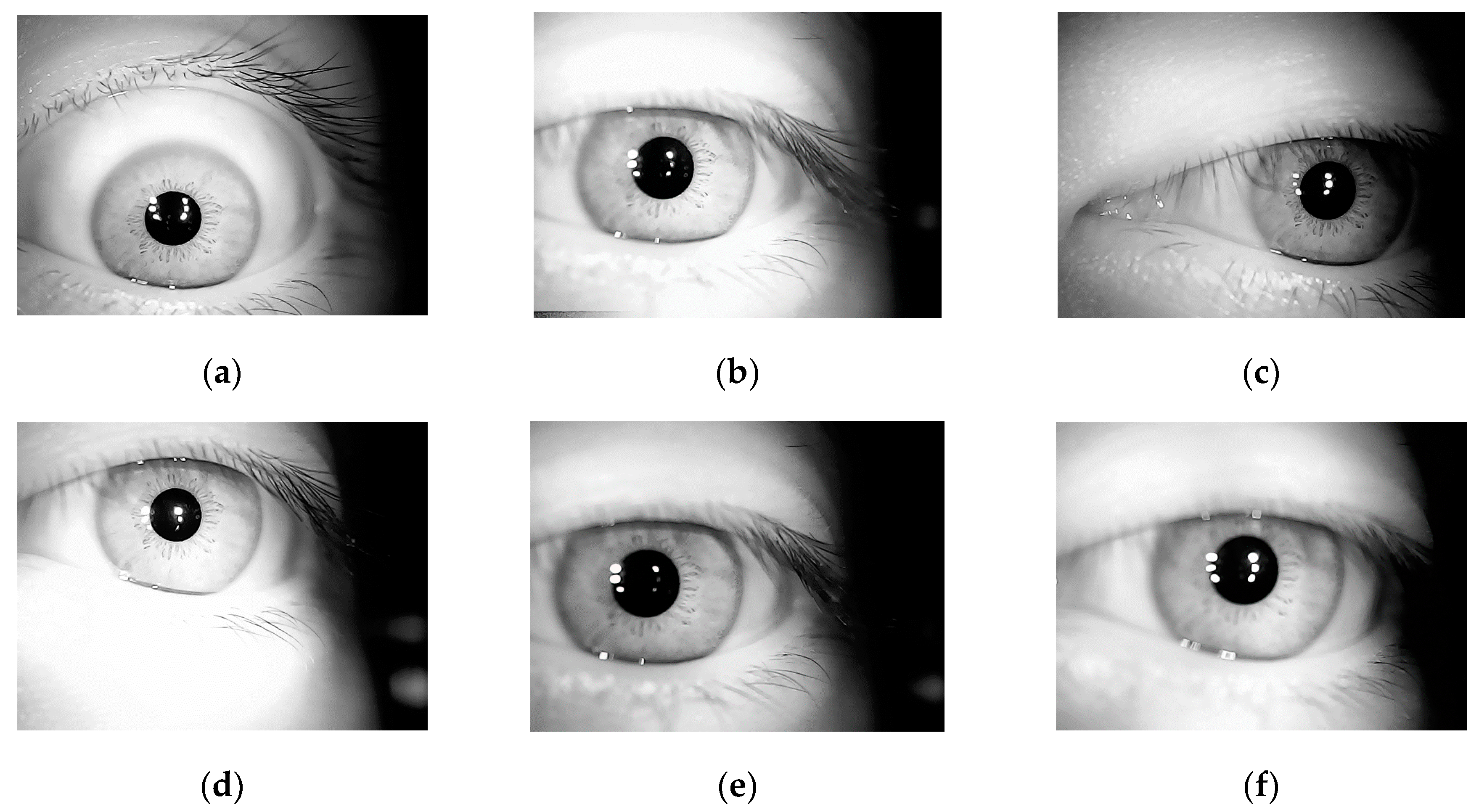 Algorithms 12 00194 g003