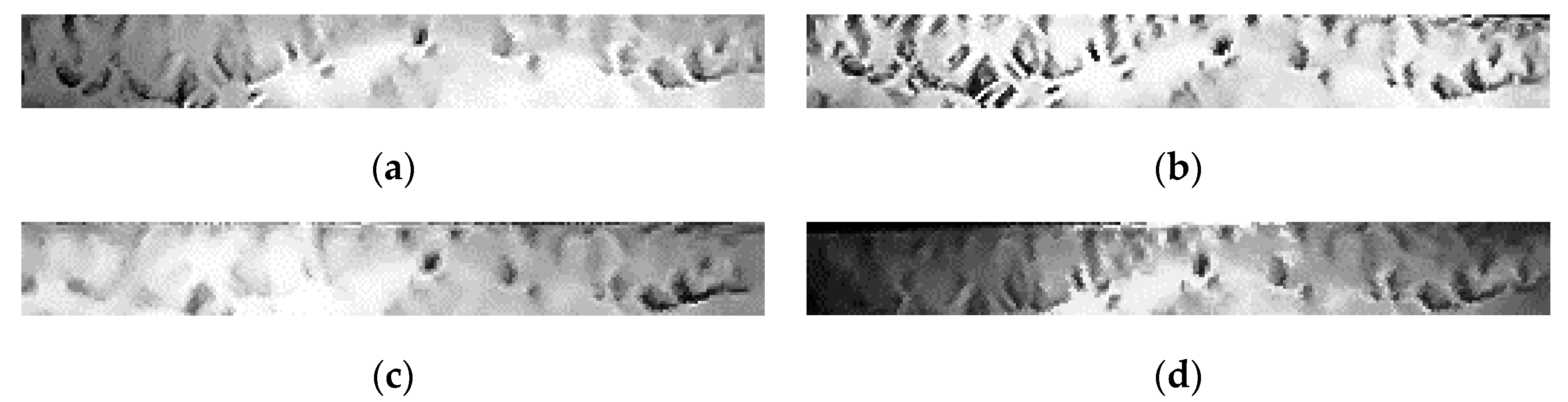 Algorithms 12 00194 g005