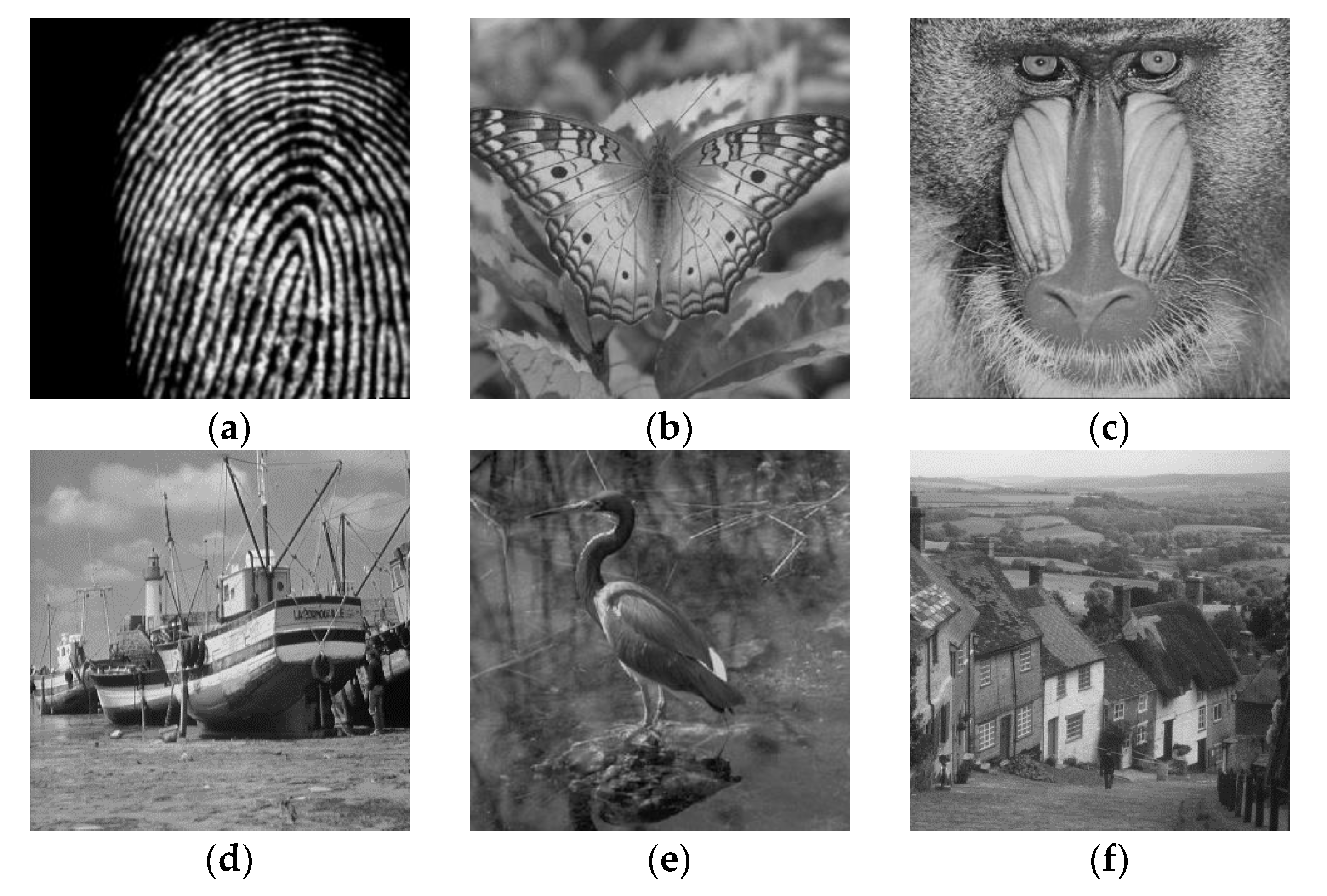 Algorithms 12 00221 g003a