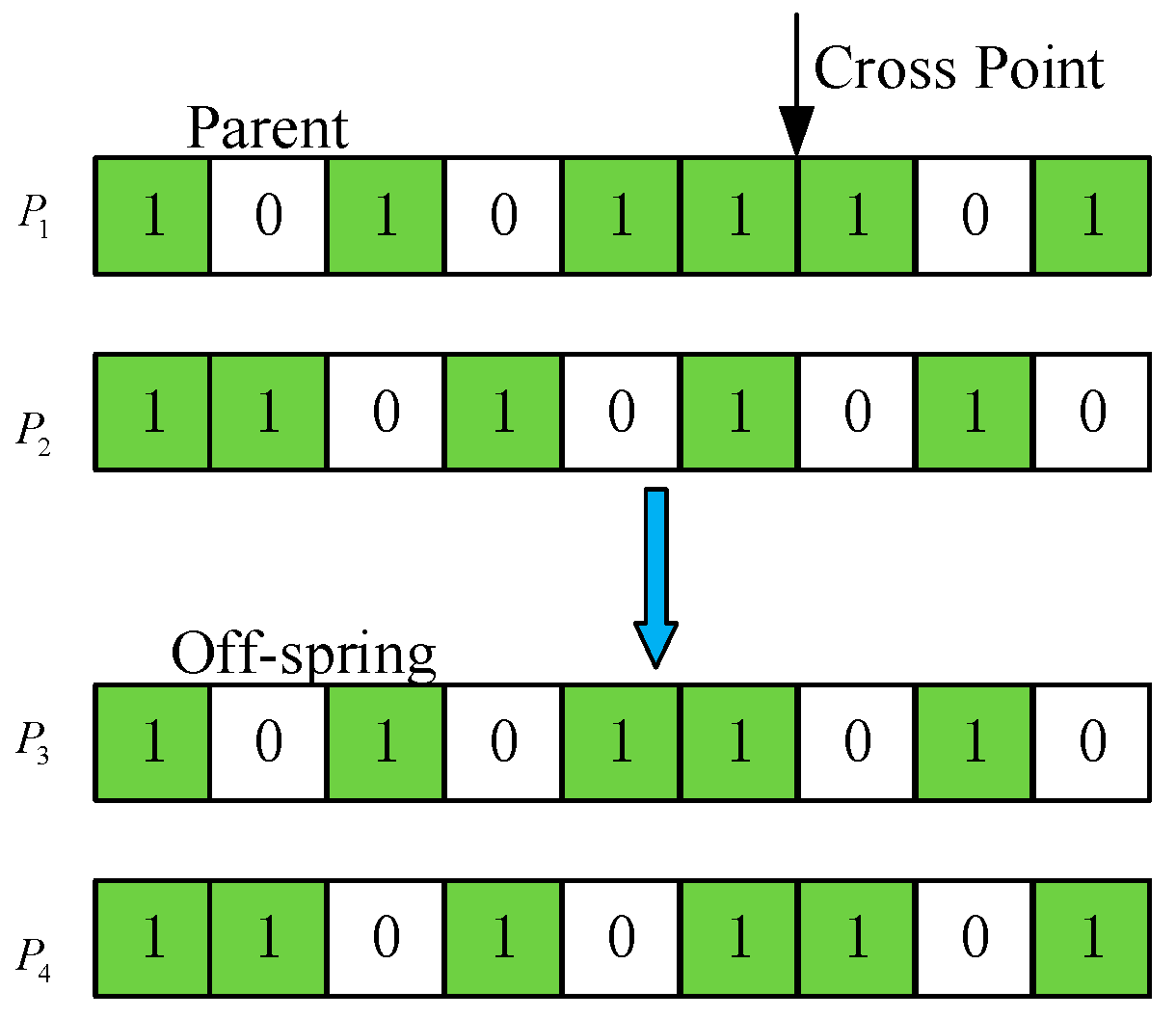 Algorithms 12 00231 g005