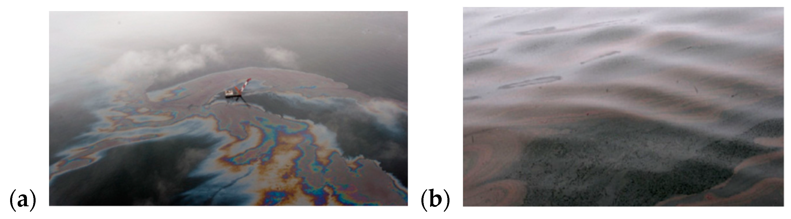 Algorithms 13 00069 g014