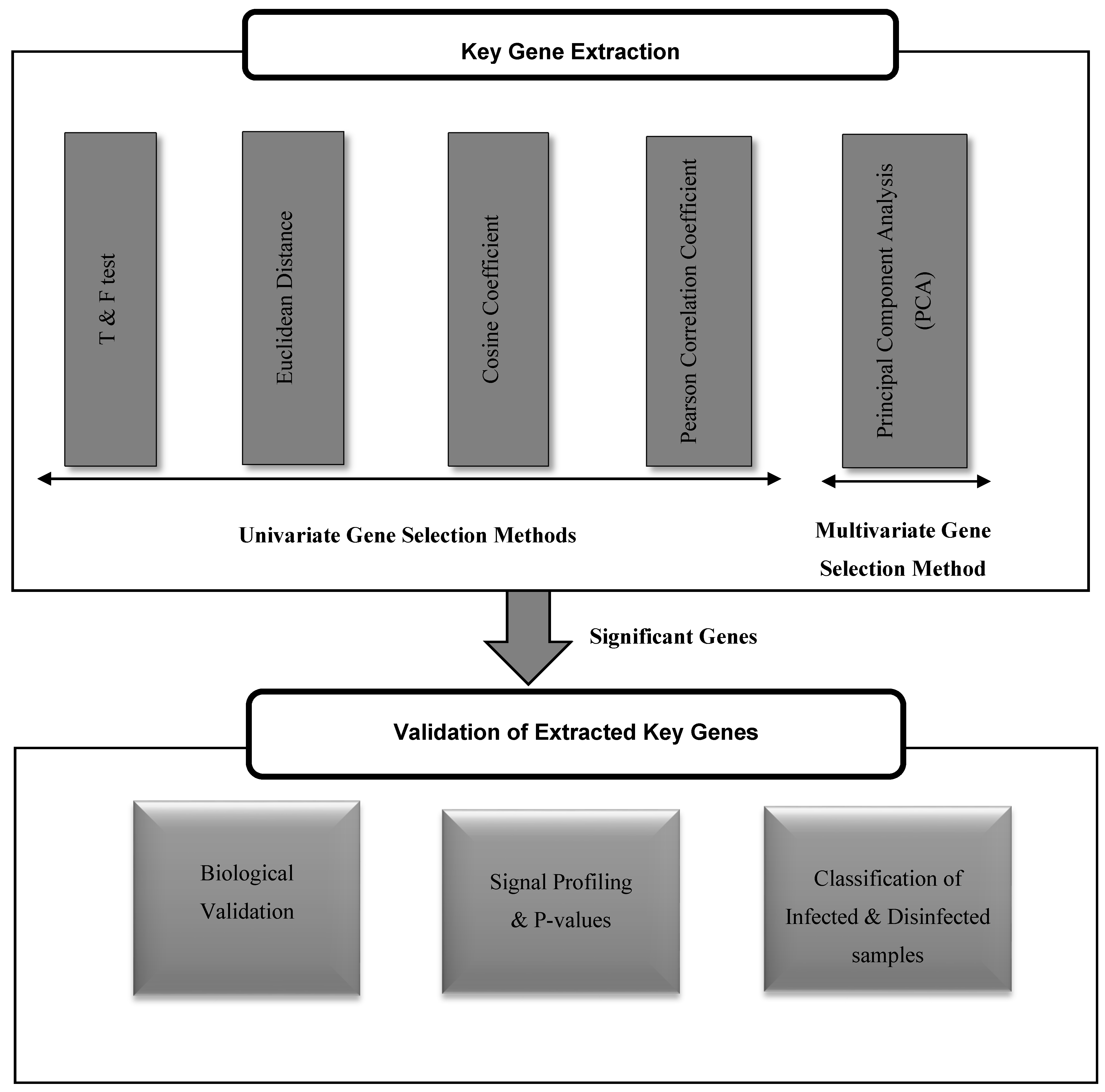 Algorithms 13 00073 g001