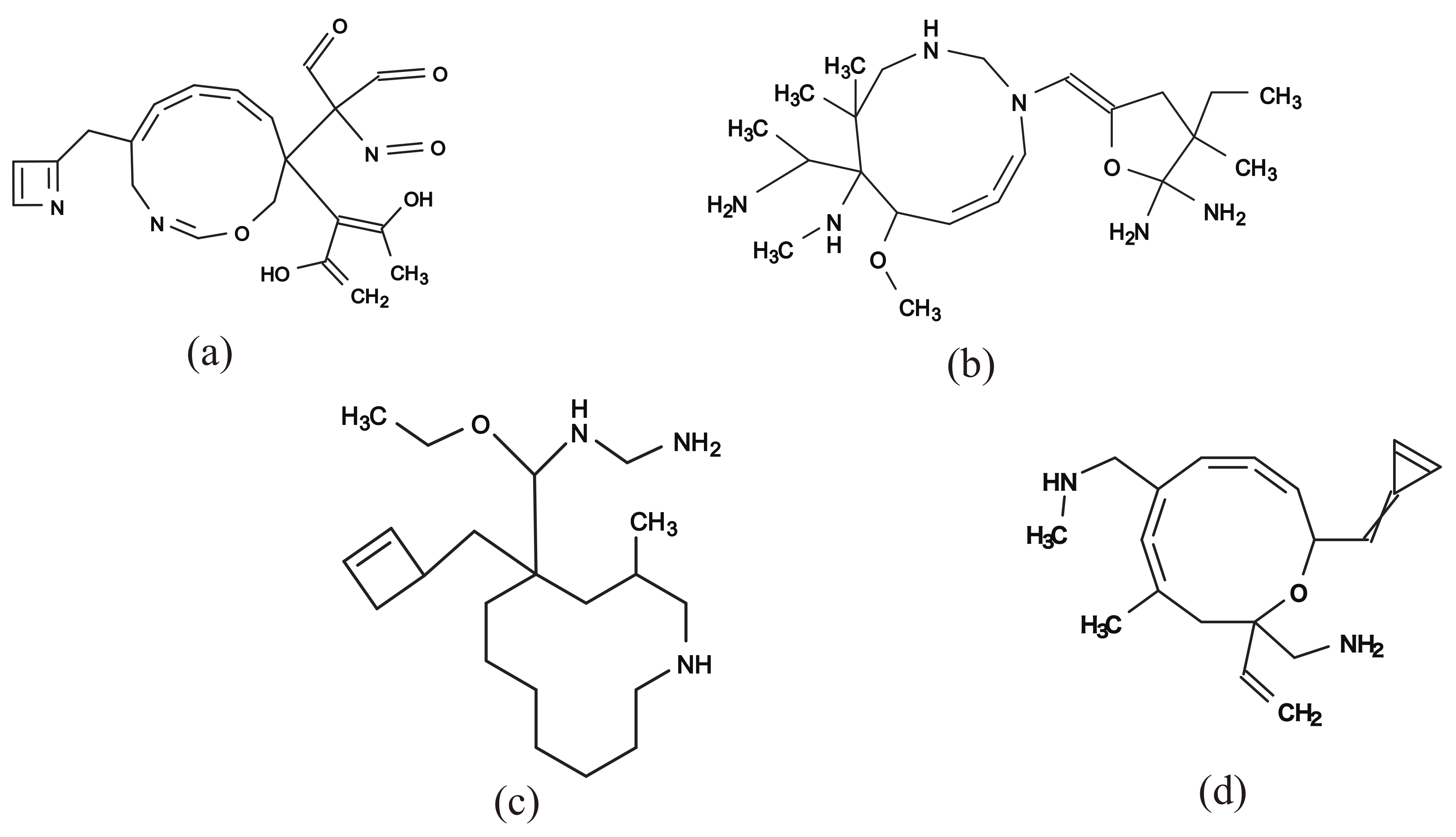 Algorithms 13 00124 g010